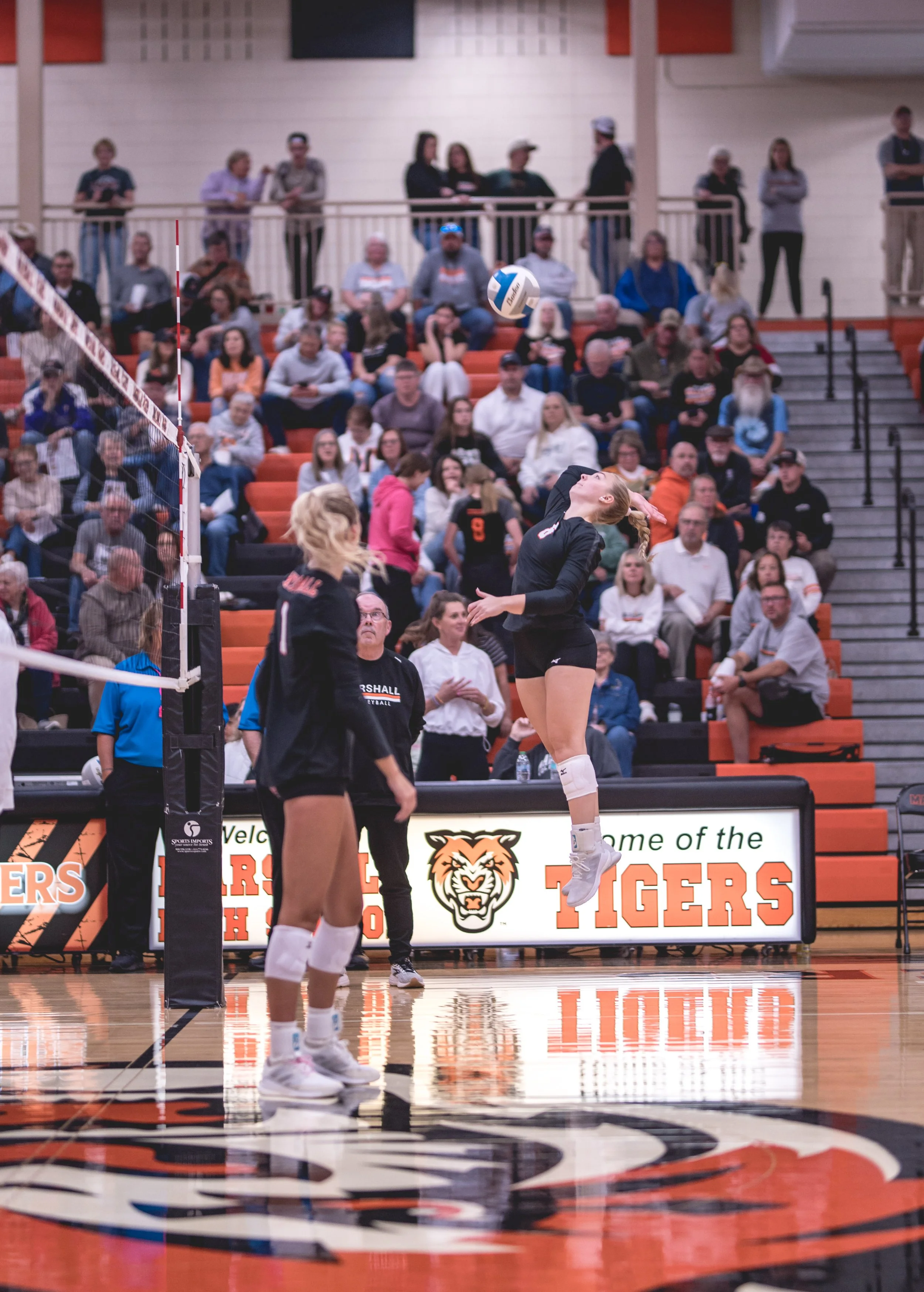 Tigers vs Alex (49).JPG