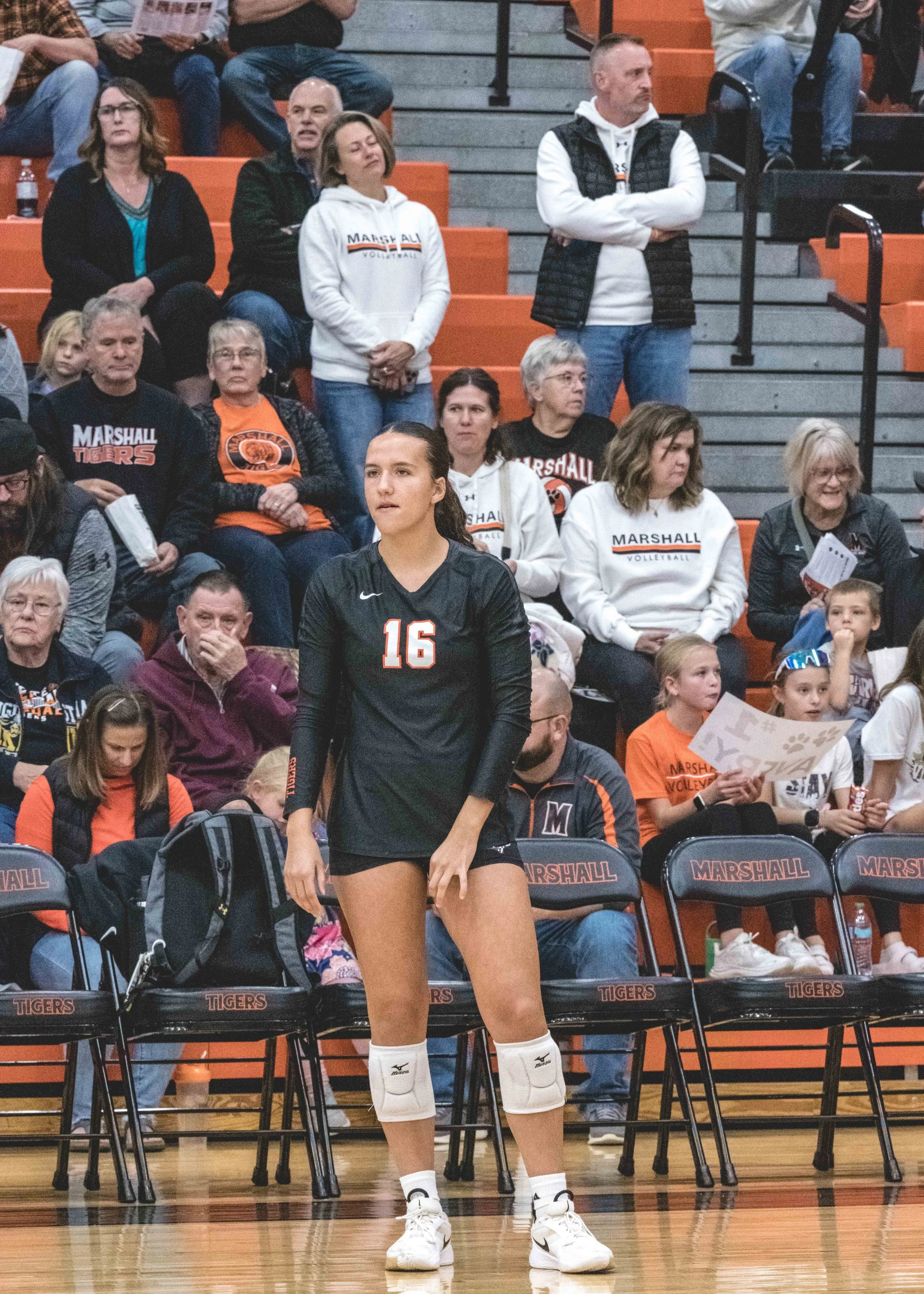 Tigers vs Alex (570).JPG