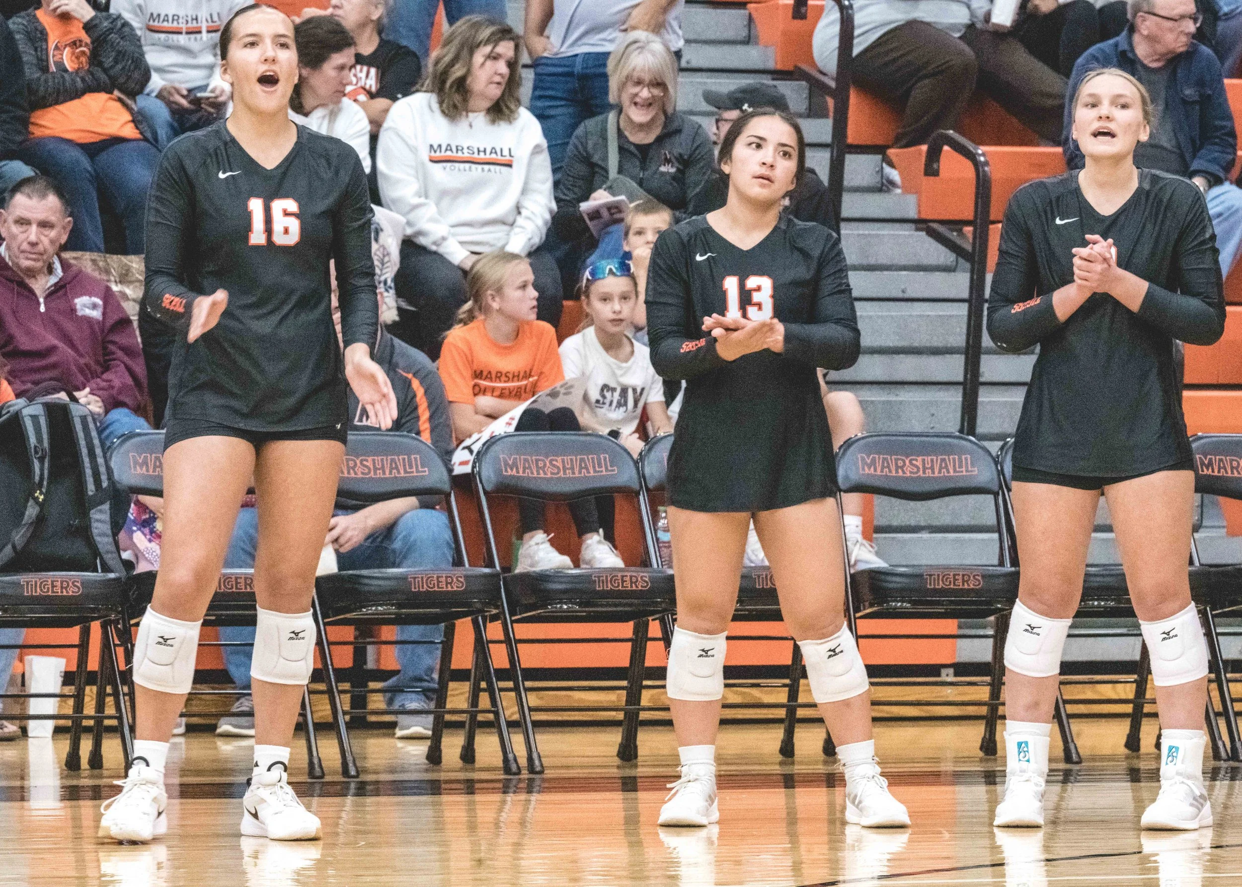 Tigers vs Alex (572).JPG