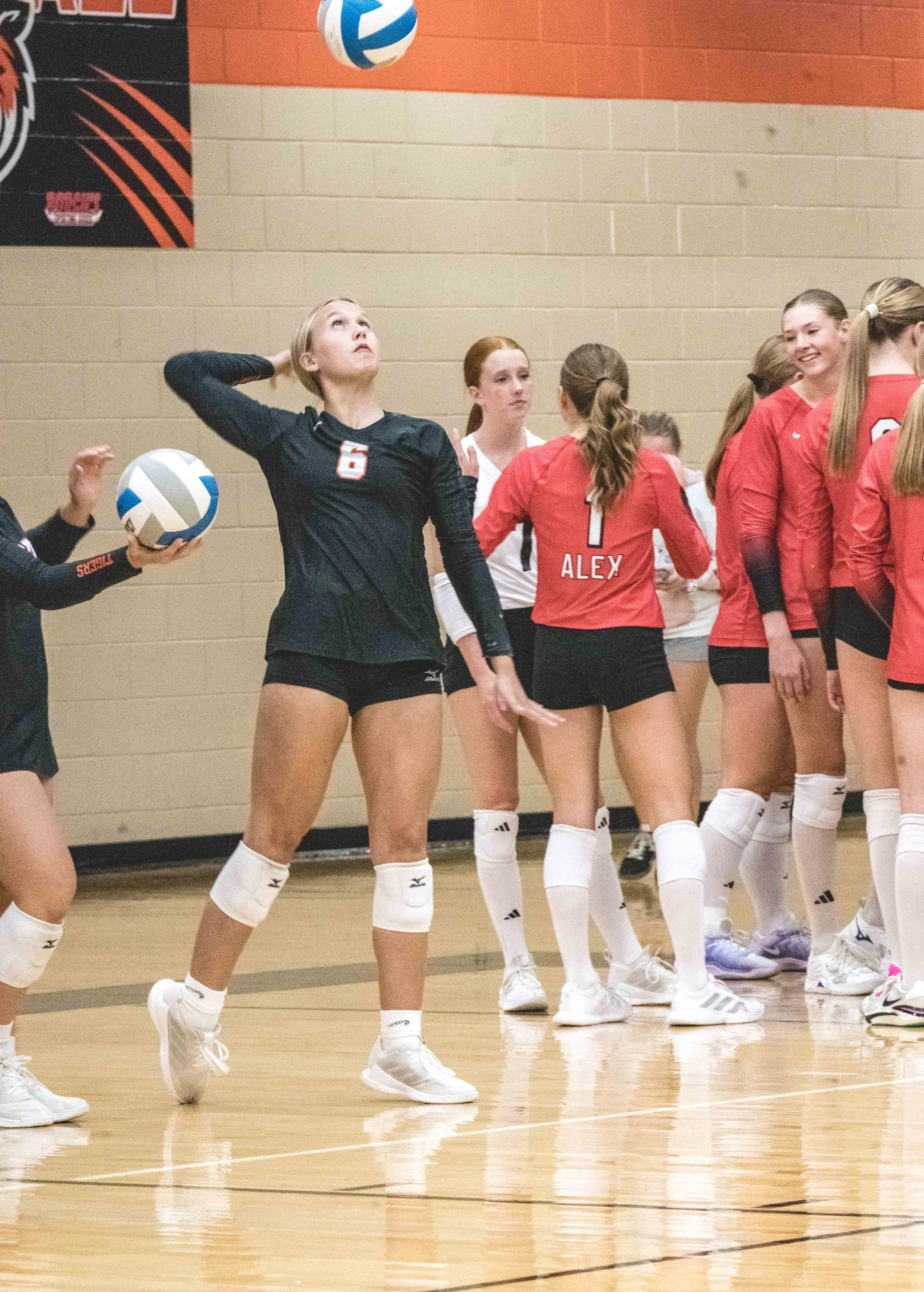 Tigers vs Alex (603).JPG