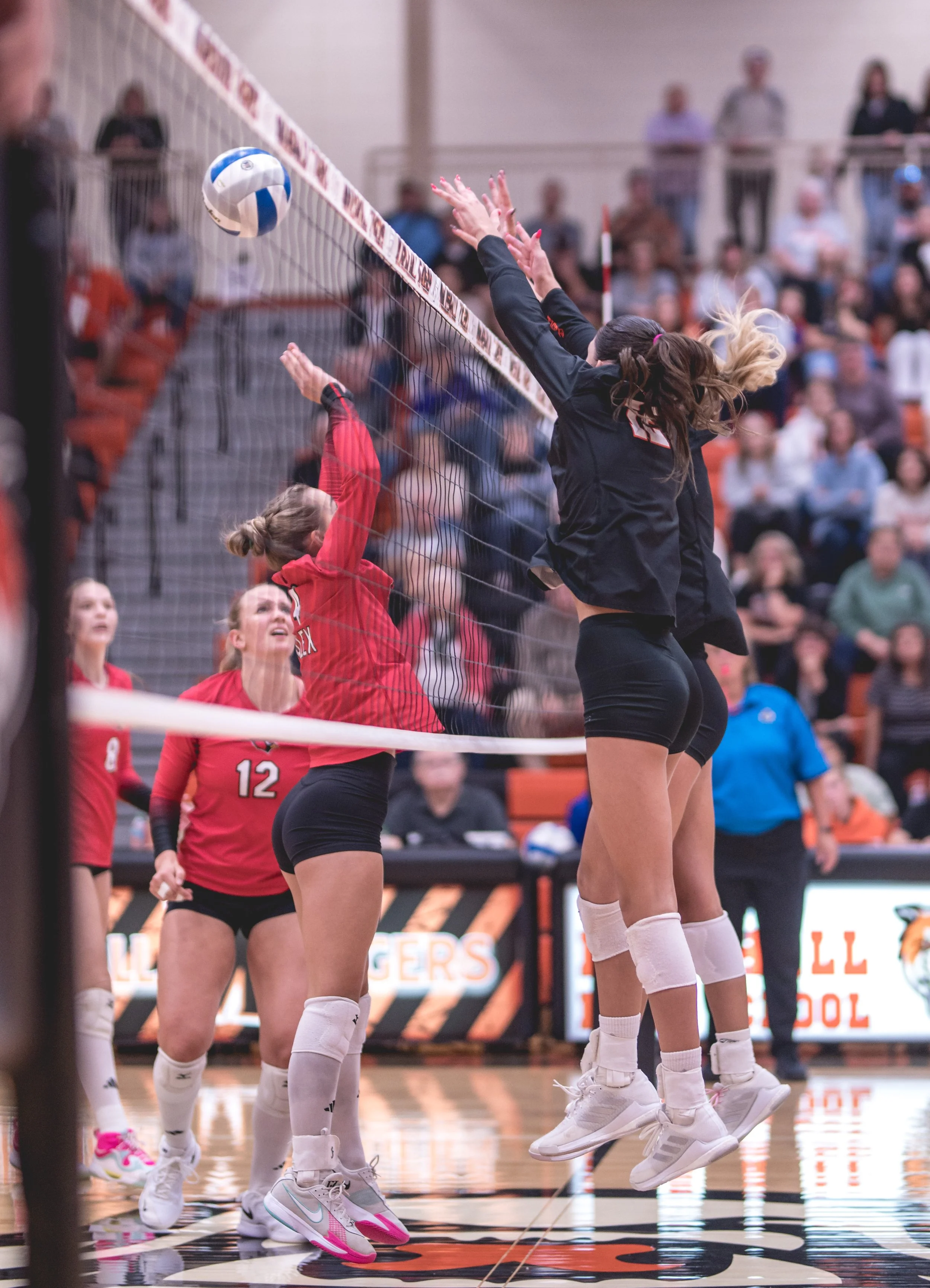 Tigers vs Alex (101).JPG