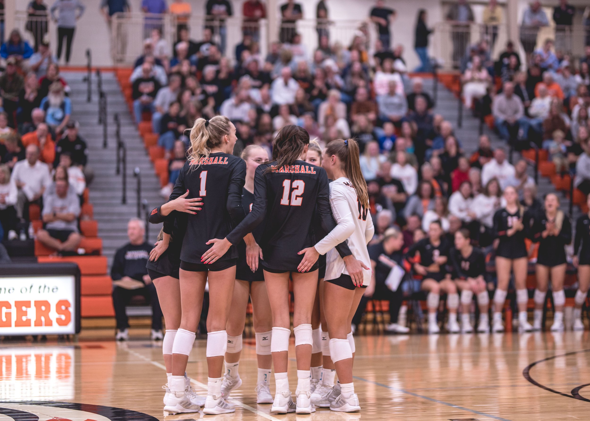 Tigers vs Alex (105).JPG