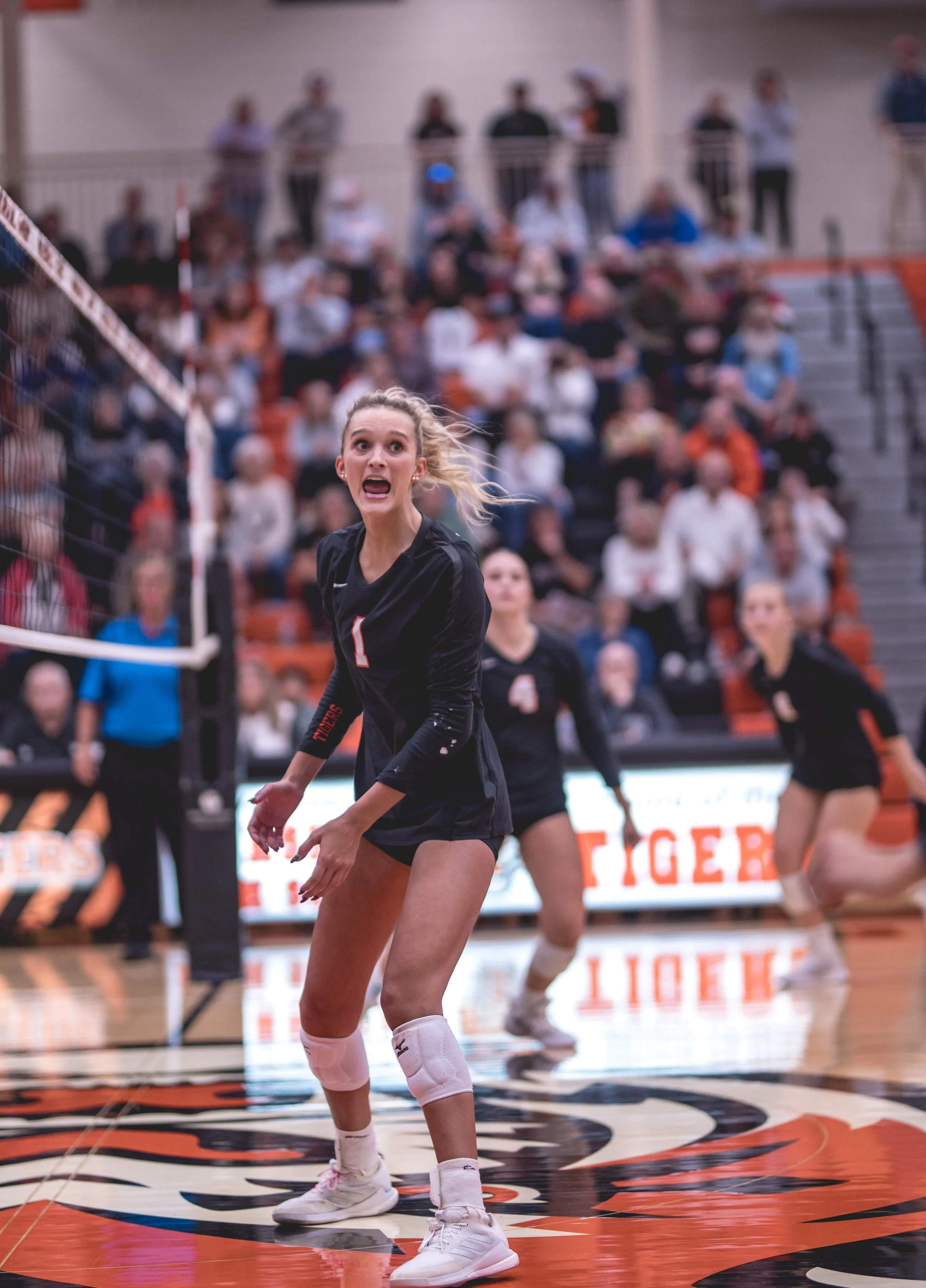 Tigers vs Alex (111).JPG