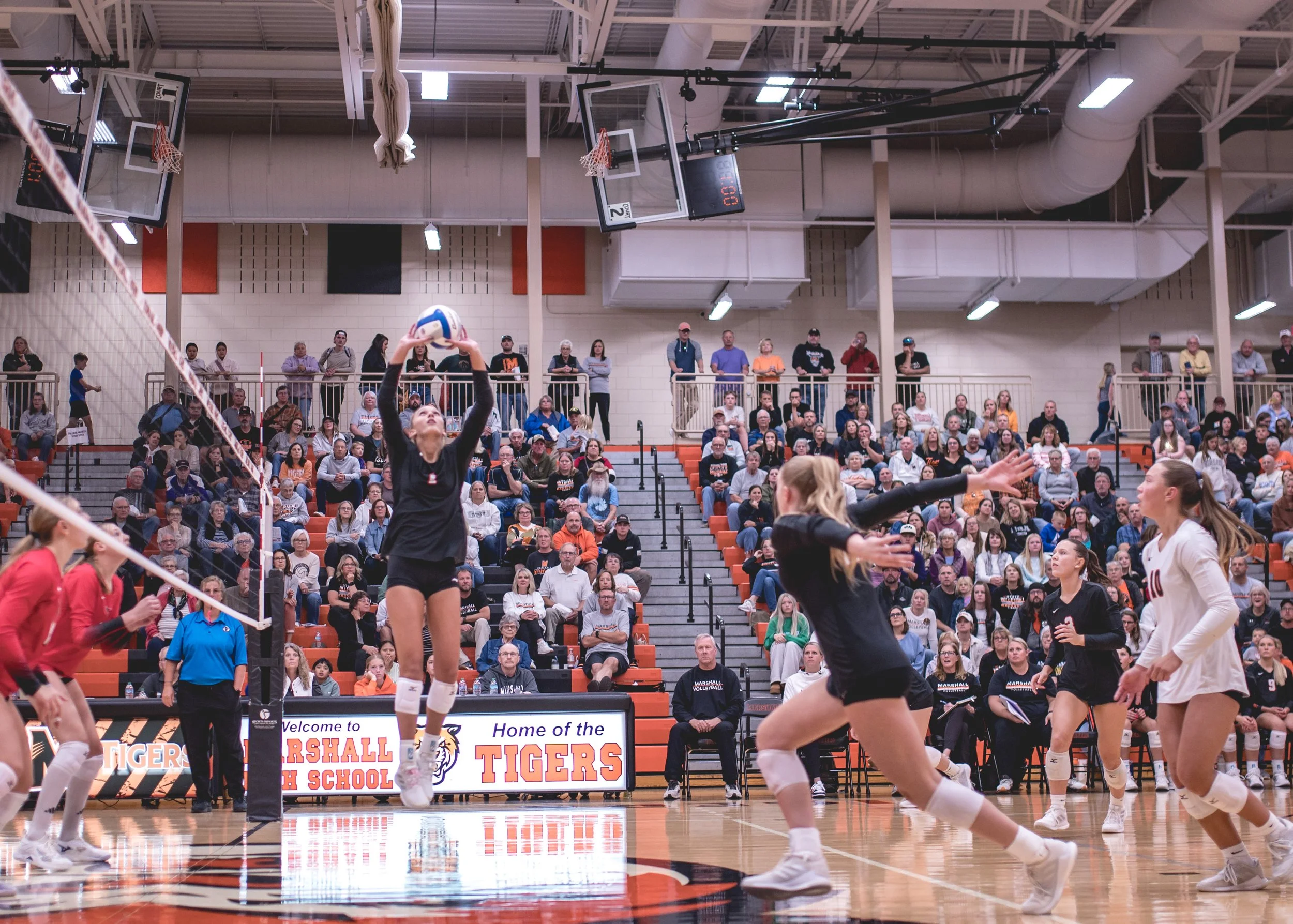 Tigers vs Alex (125).JPG