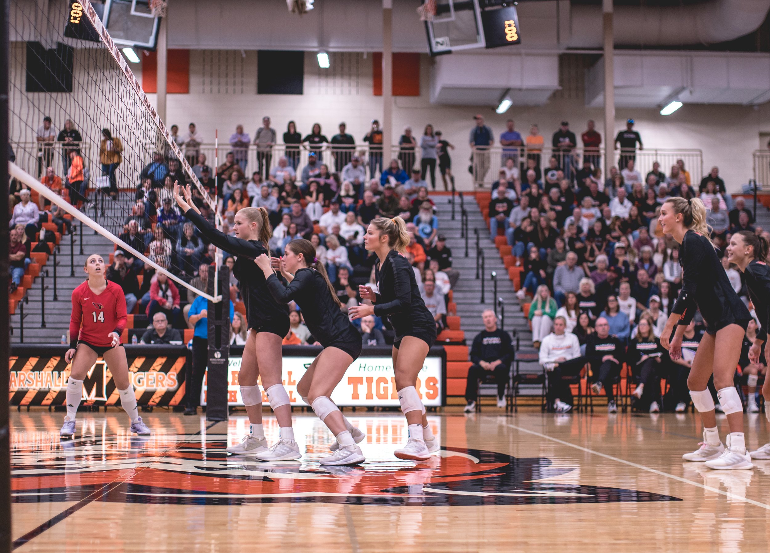 Tigers vs Alex (129).JPG