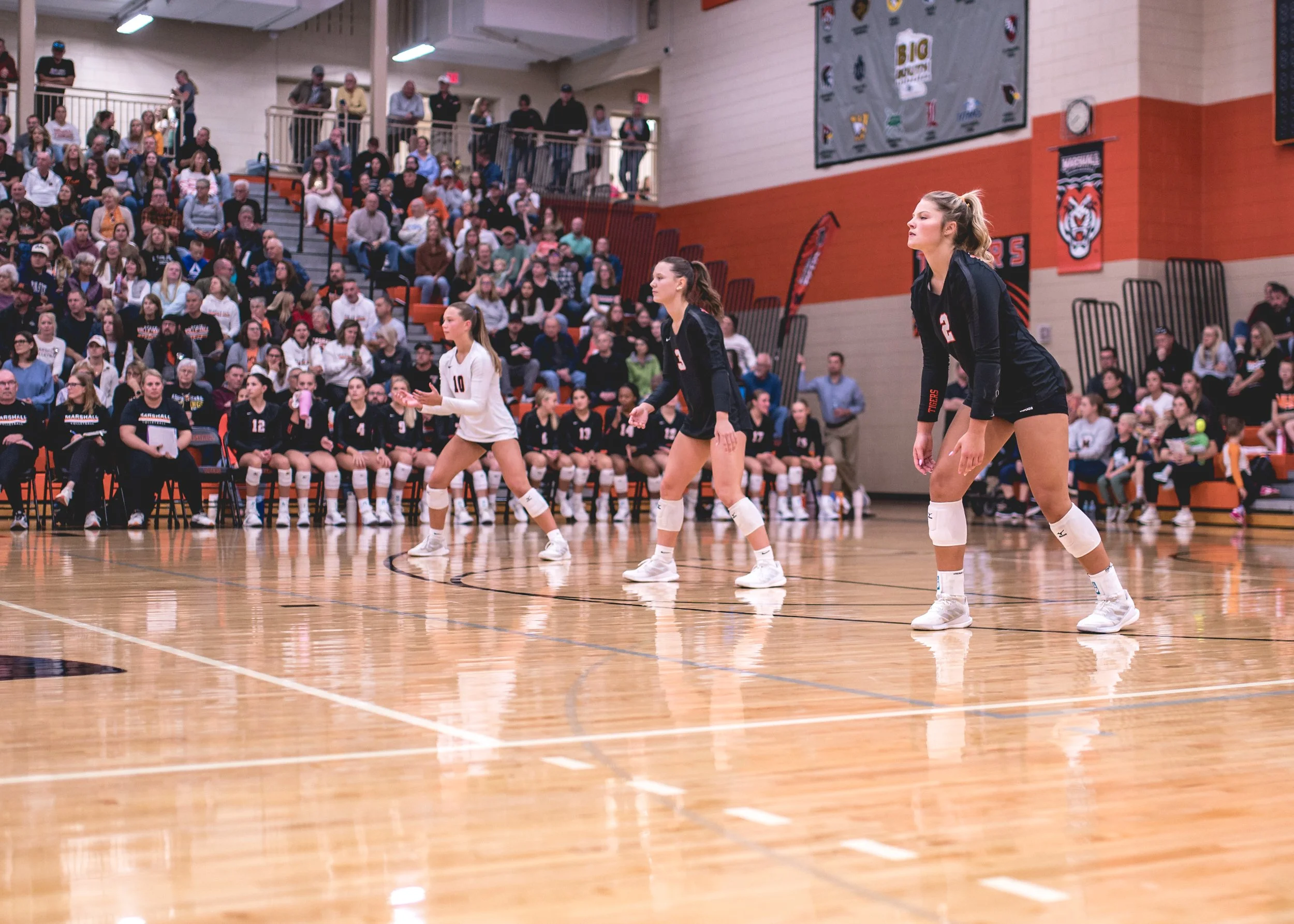 Tigers vs Alex (131).JPG