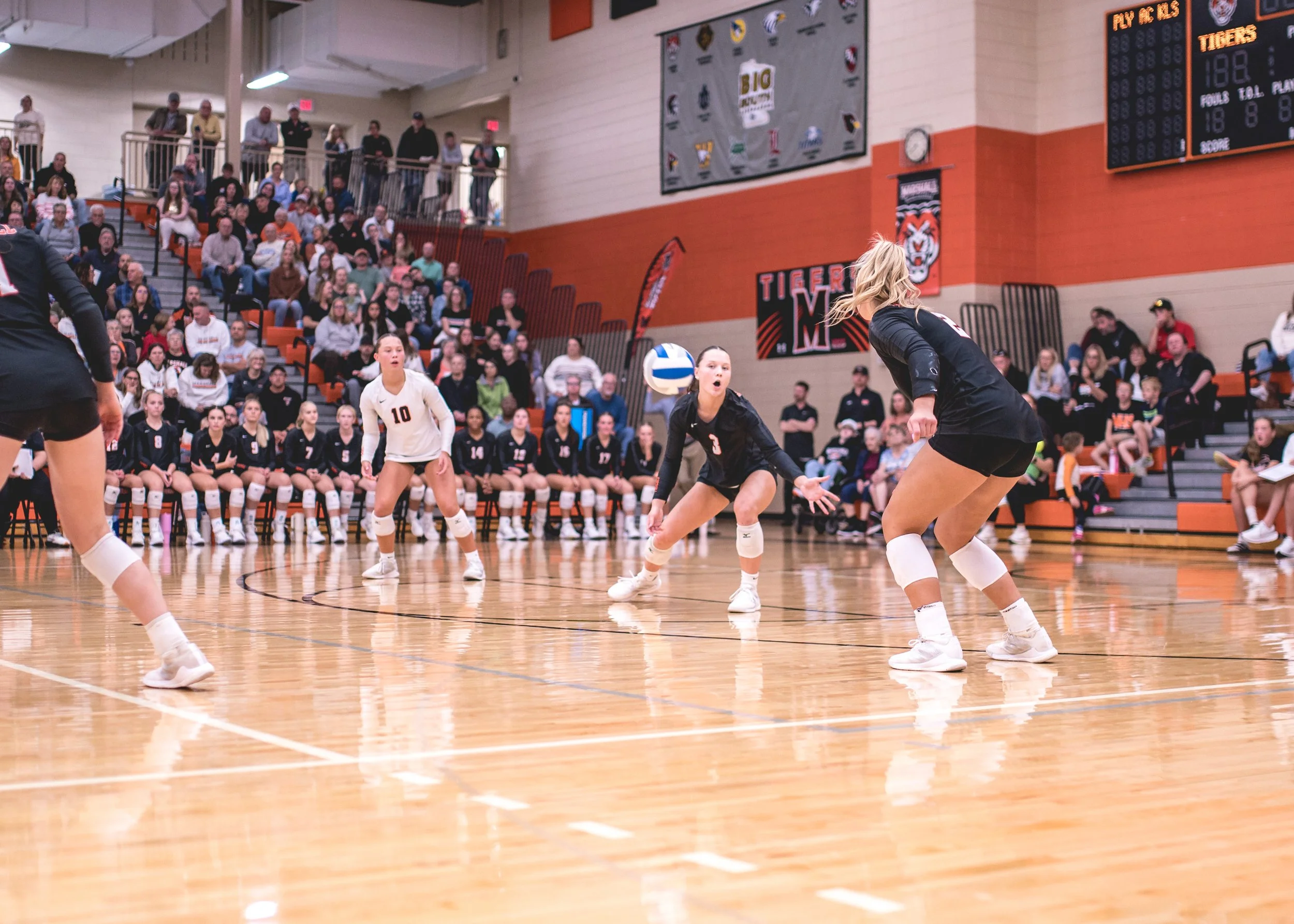 Tigers vs Alex (132).JPG