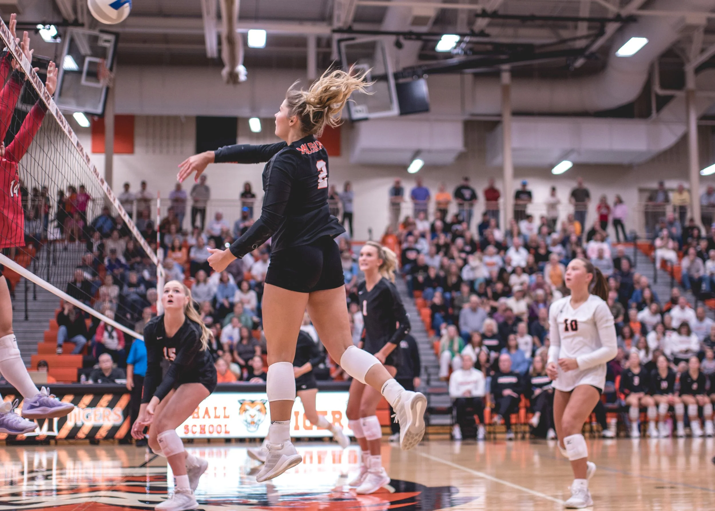 Tigers vs Alex (135).JPG