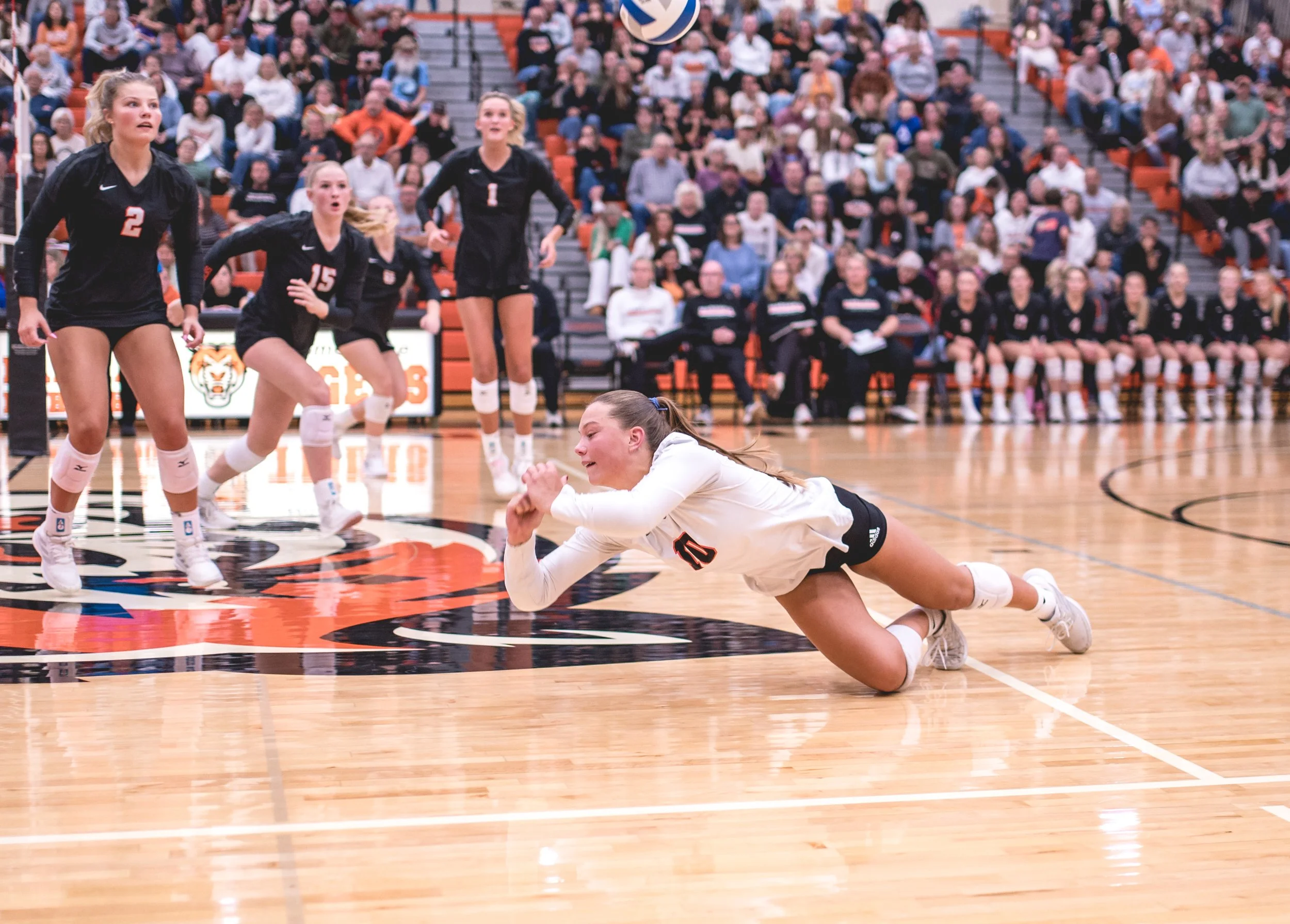 Tigers vs Alex (143).JPG