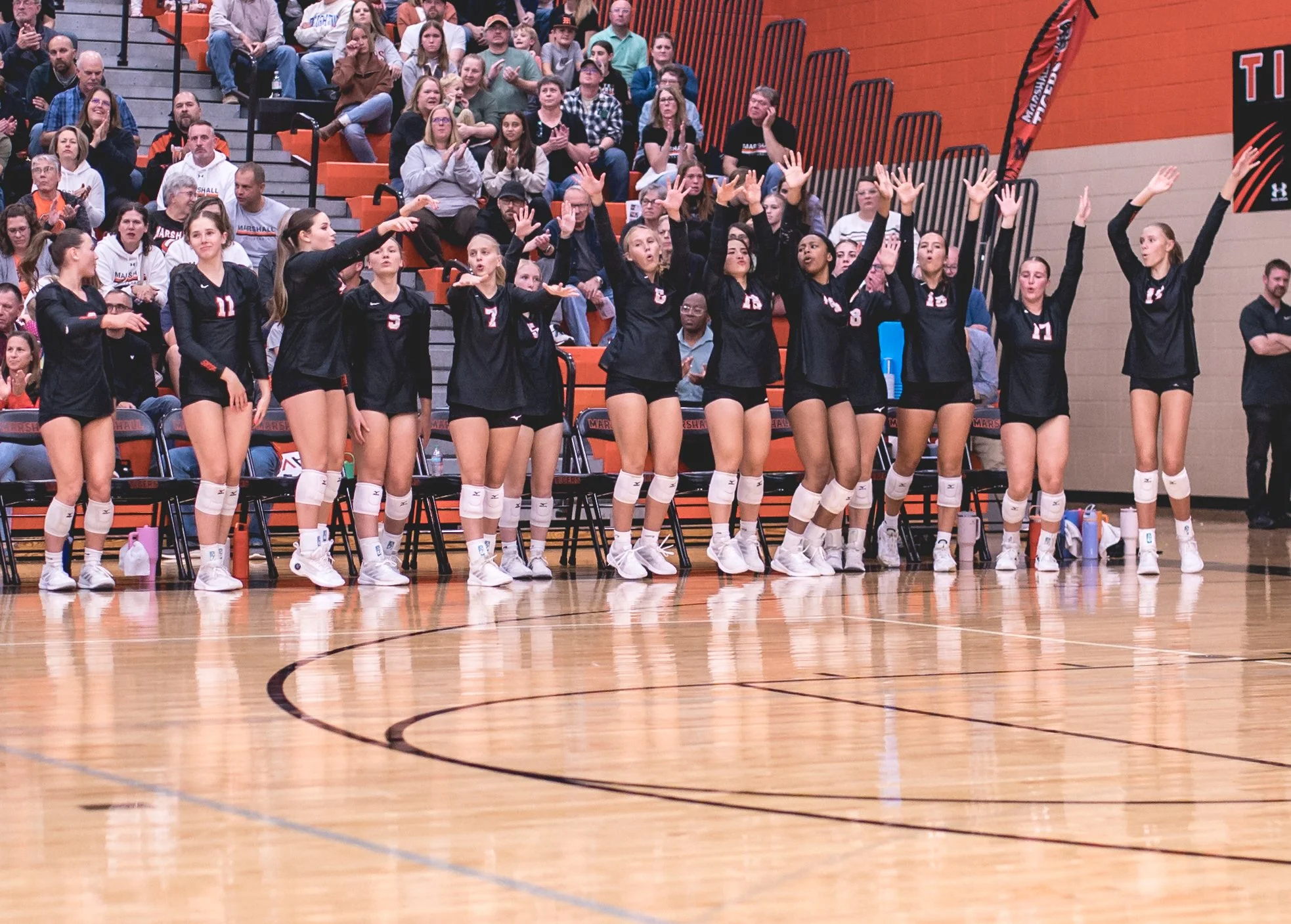 Tigers vs Alex (153).JPG