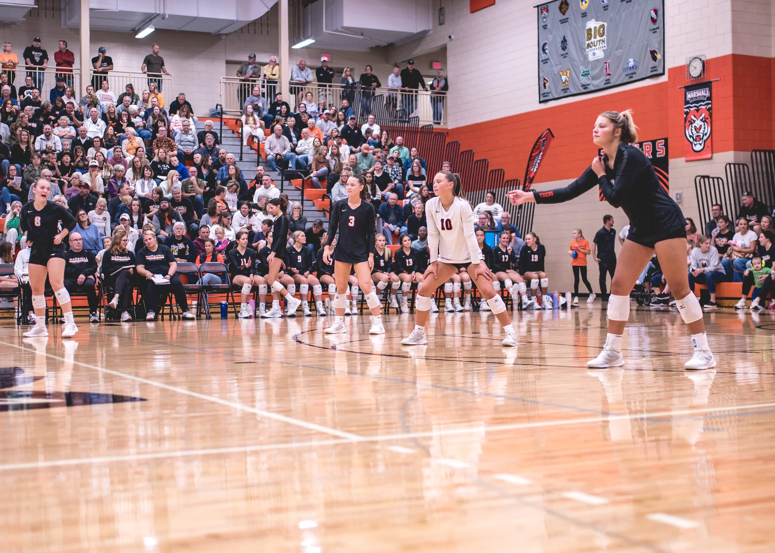 Tigers vs Alex (158).JPG