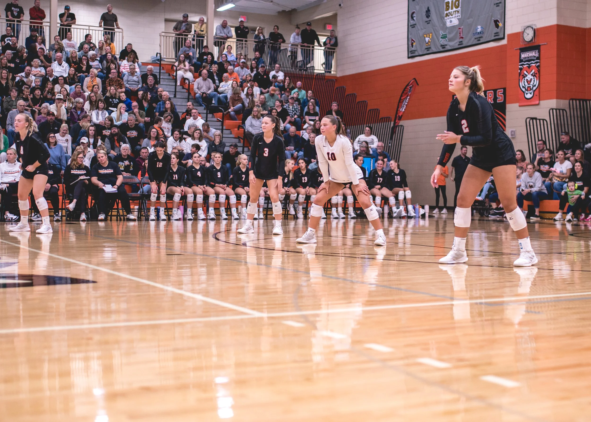 Tigers vs Alex (159).JPG