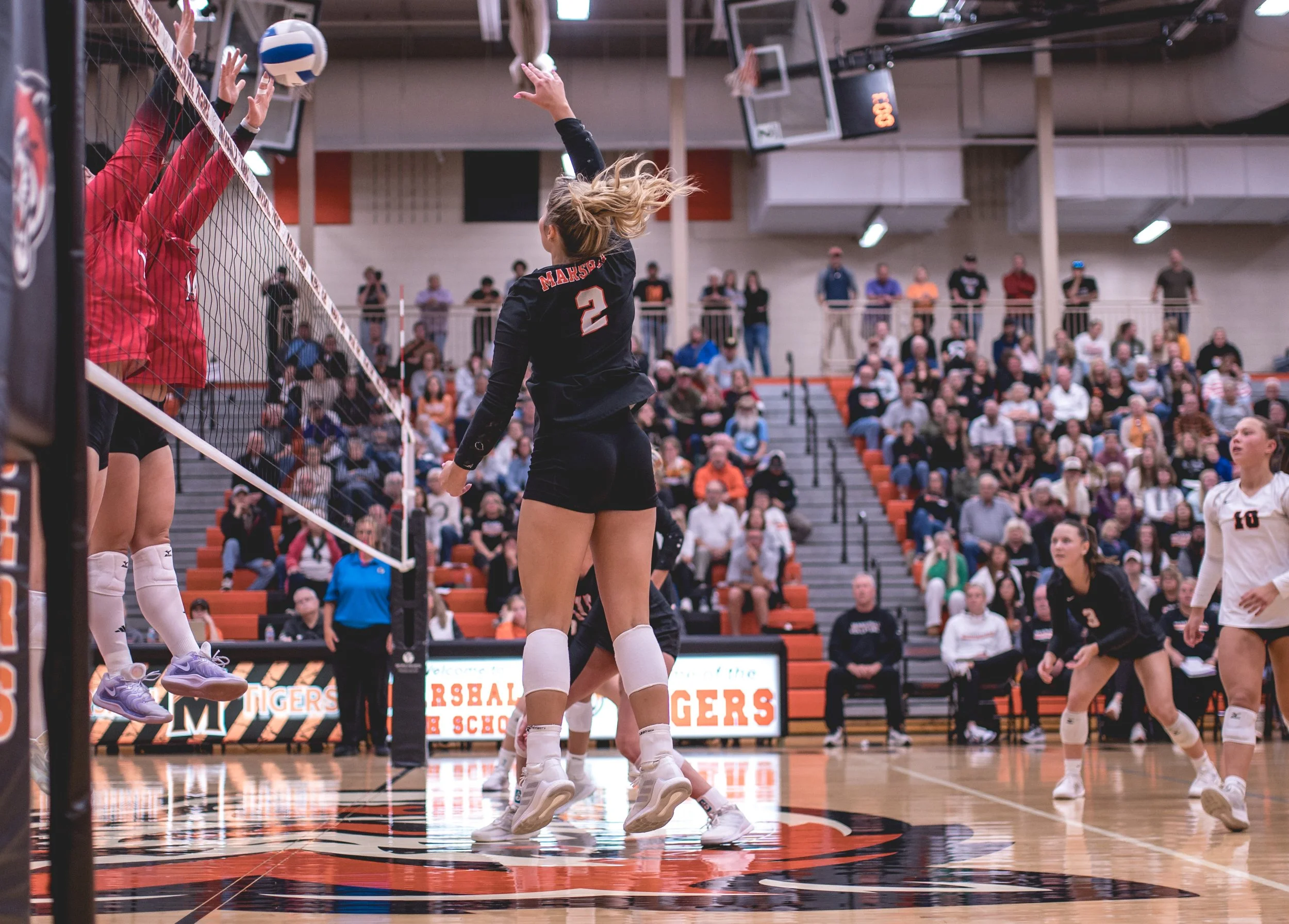 Tigers vs Alex (163).JPG