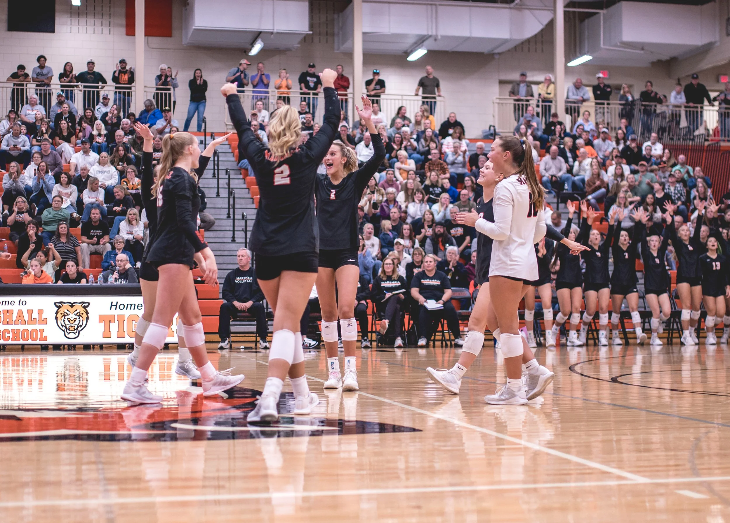 Tigers vs Alex (166).JPG