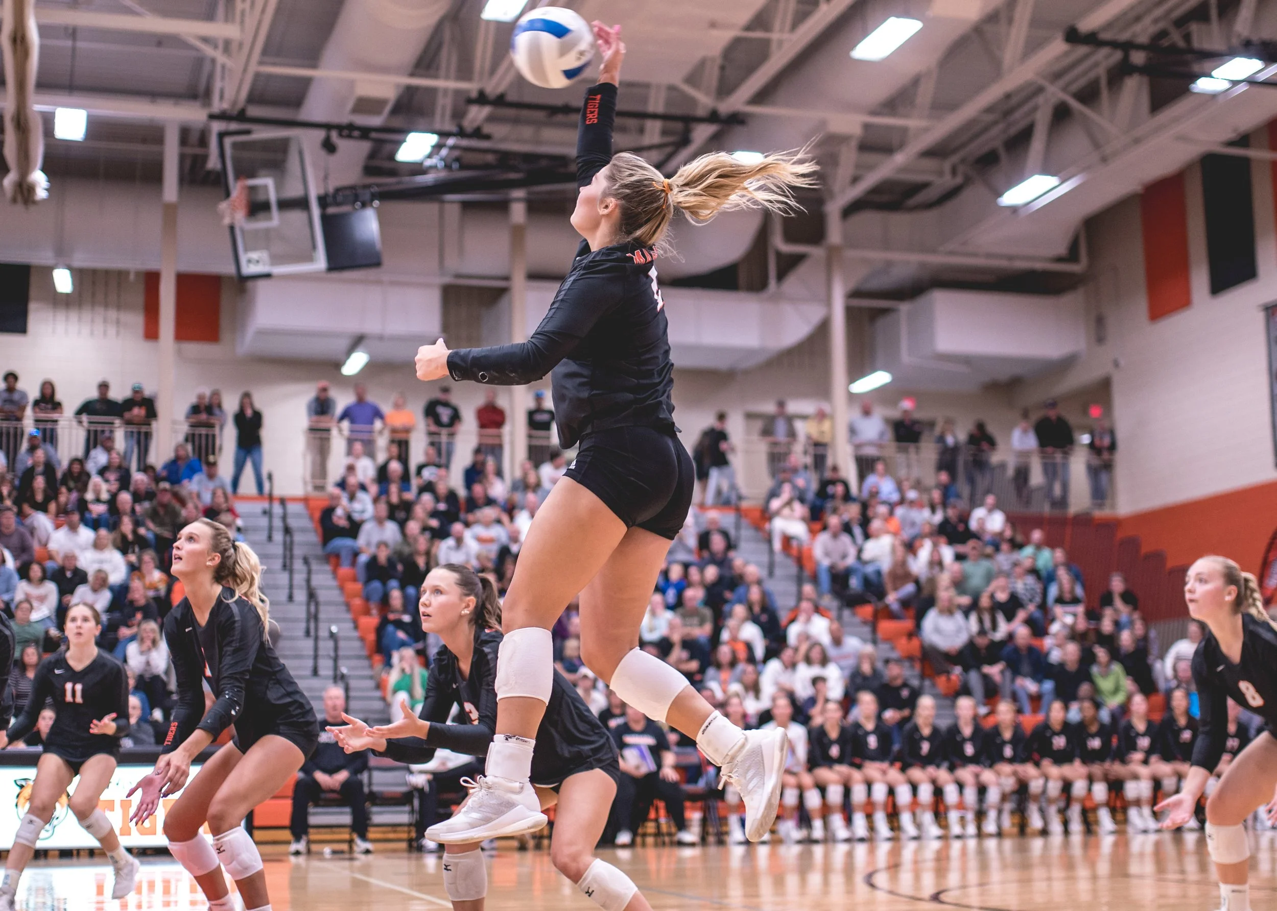 Tigers vs Alex (172).JPG