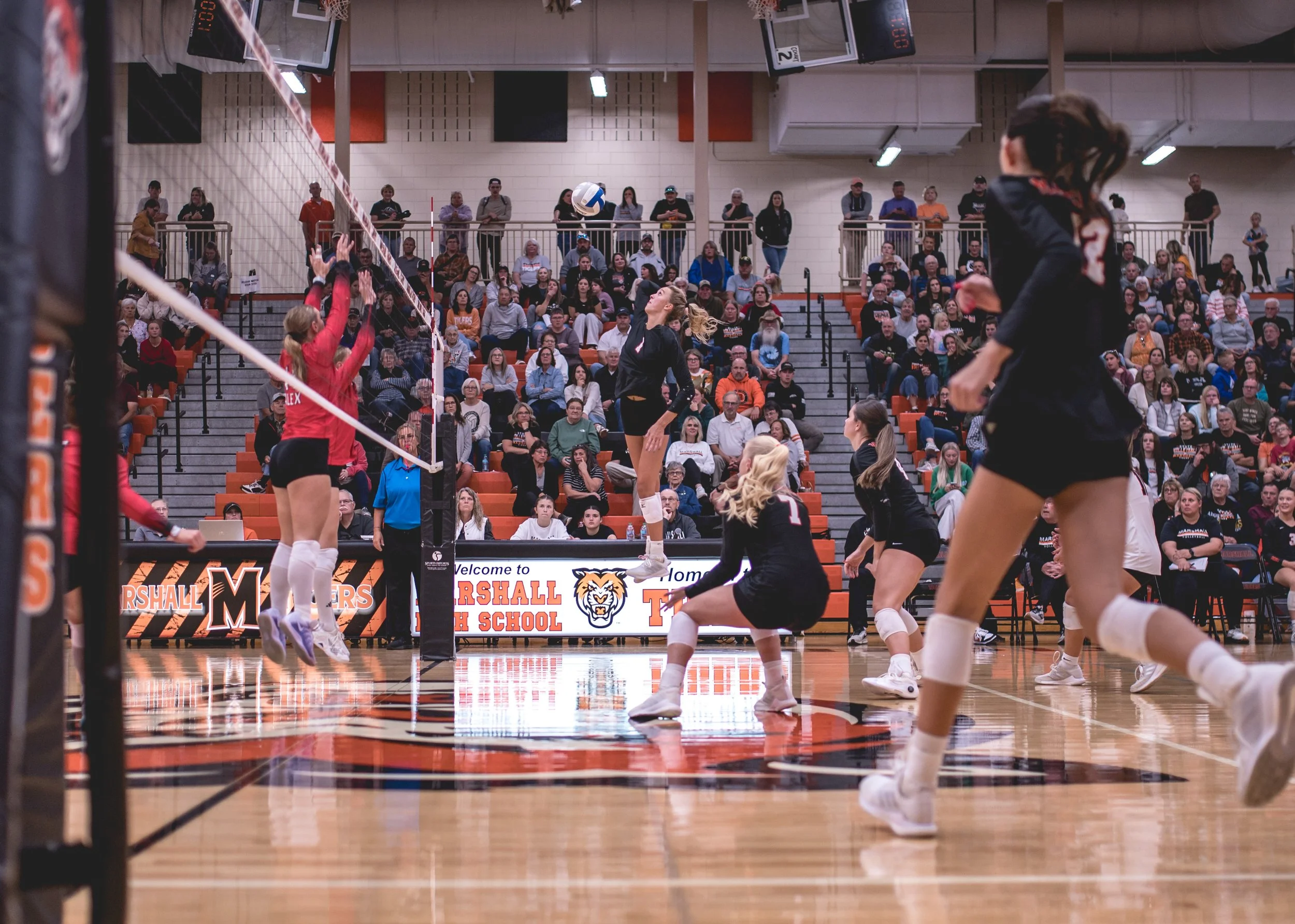 Tigers vs Alex (178).JPG