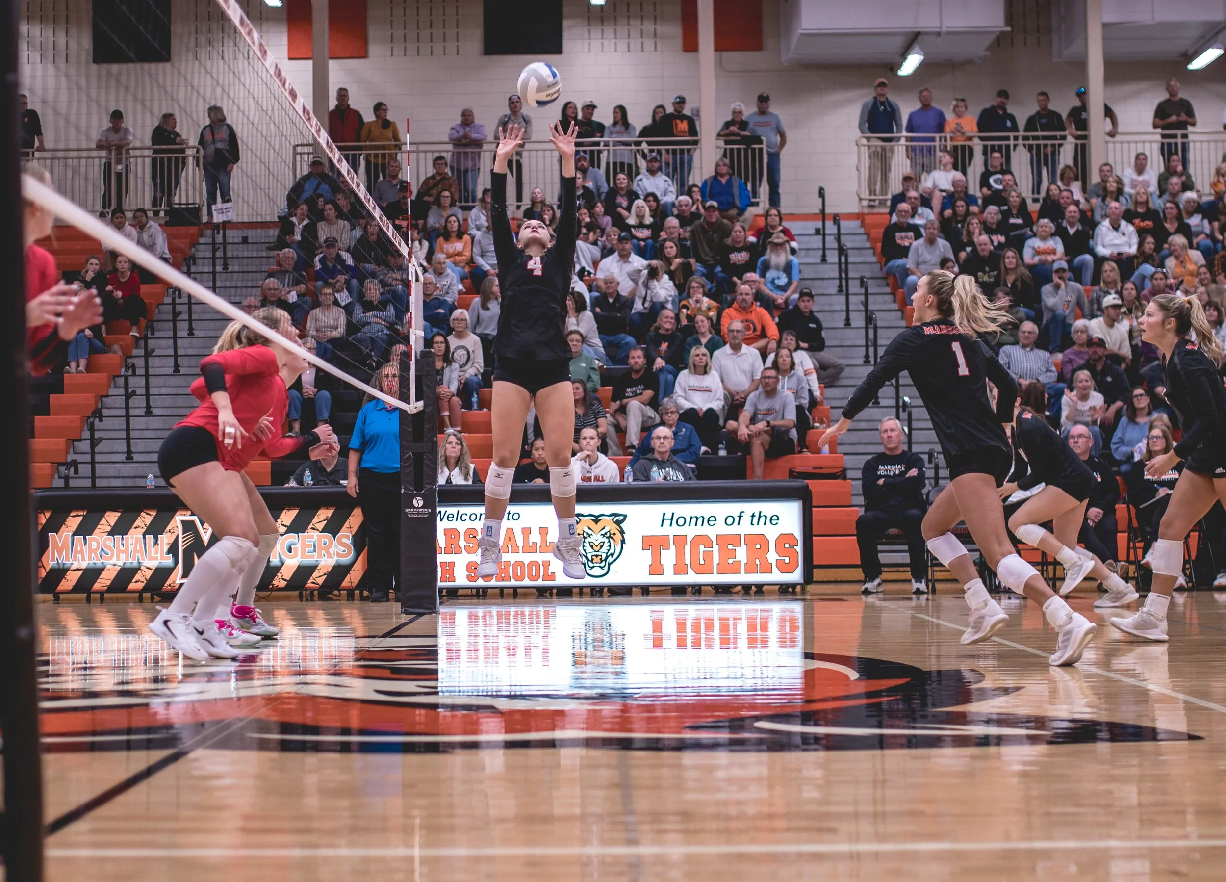 Tigers vs Alex (190).JPG