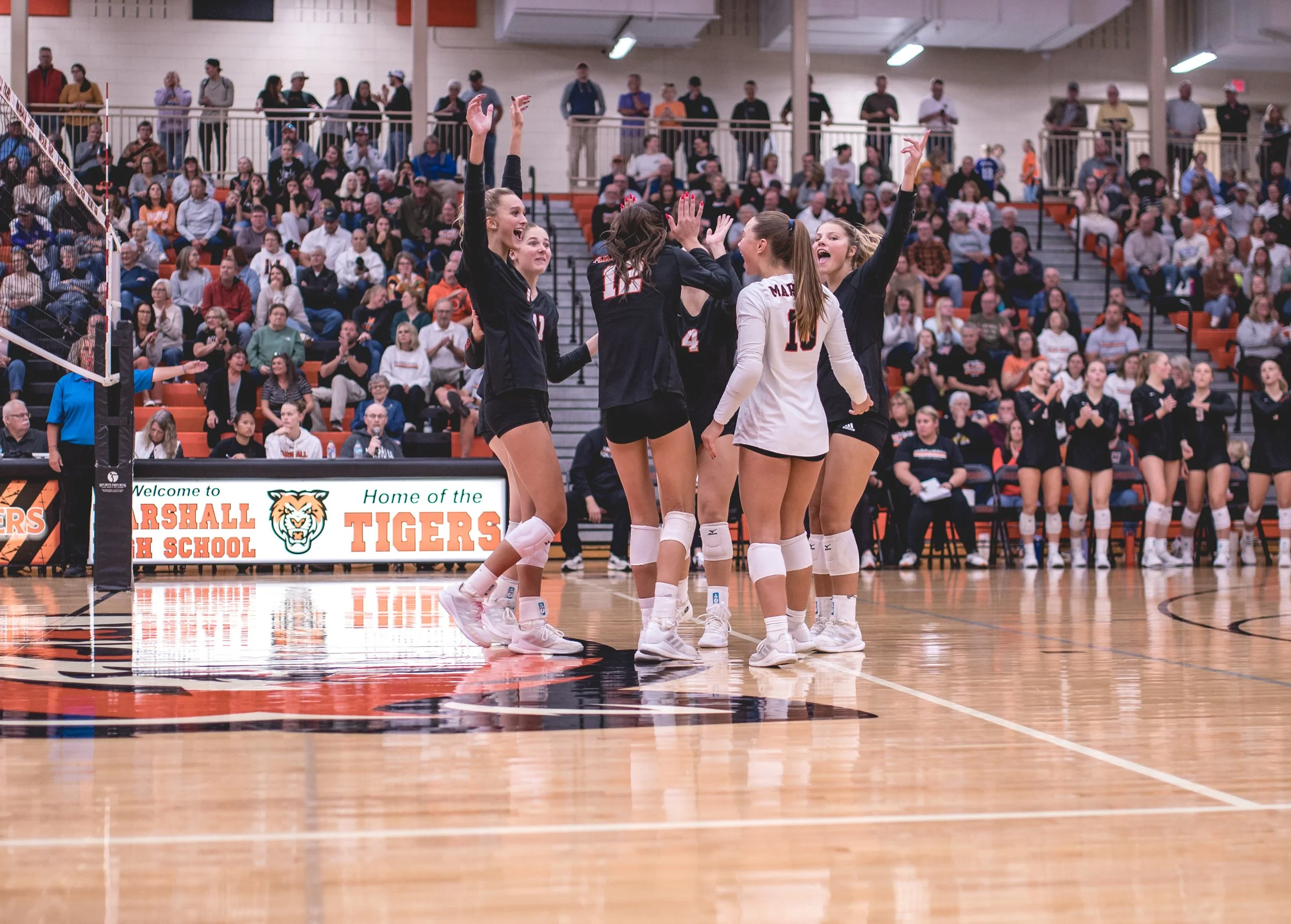 Tigers vs Alex (197).JPG