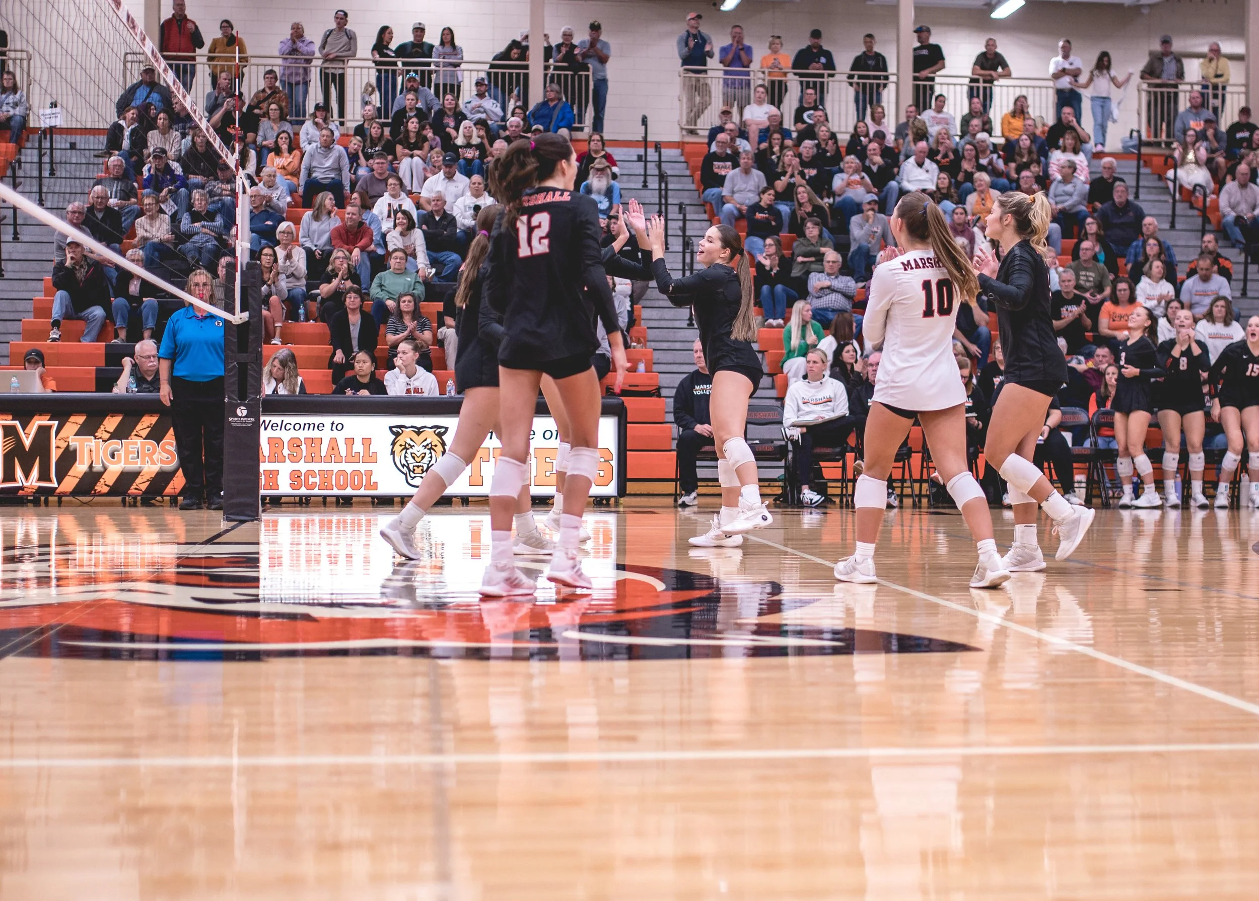 Tigers vs Alex (201).JPG