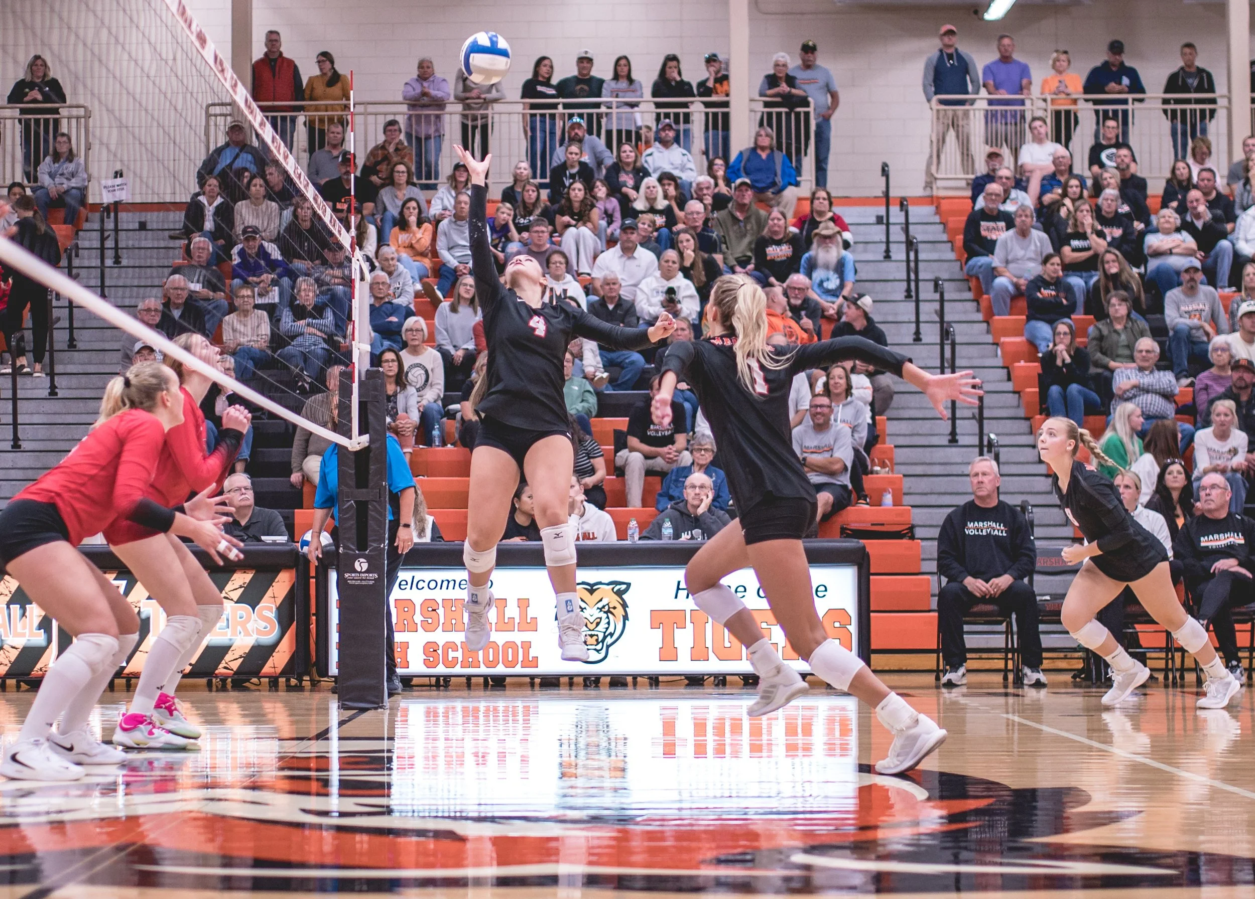 Tigers vs Alex (204).JPG