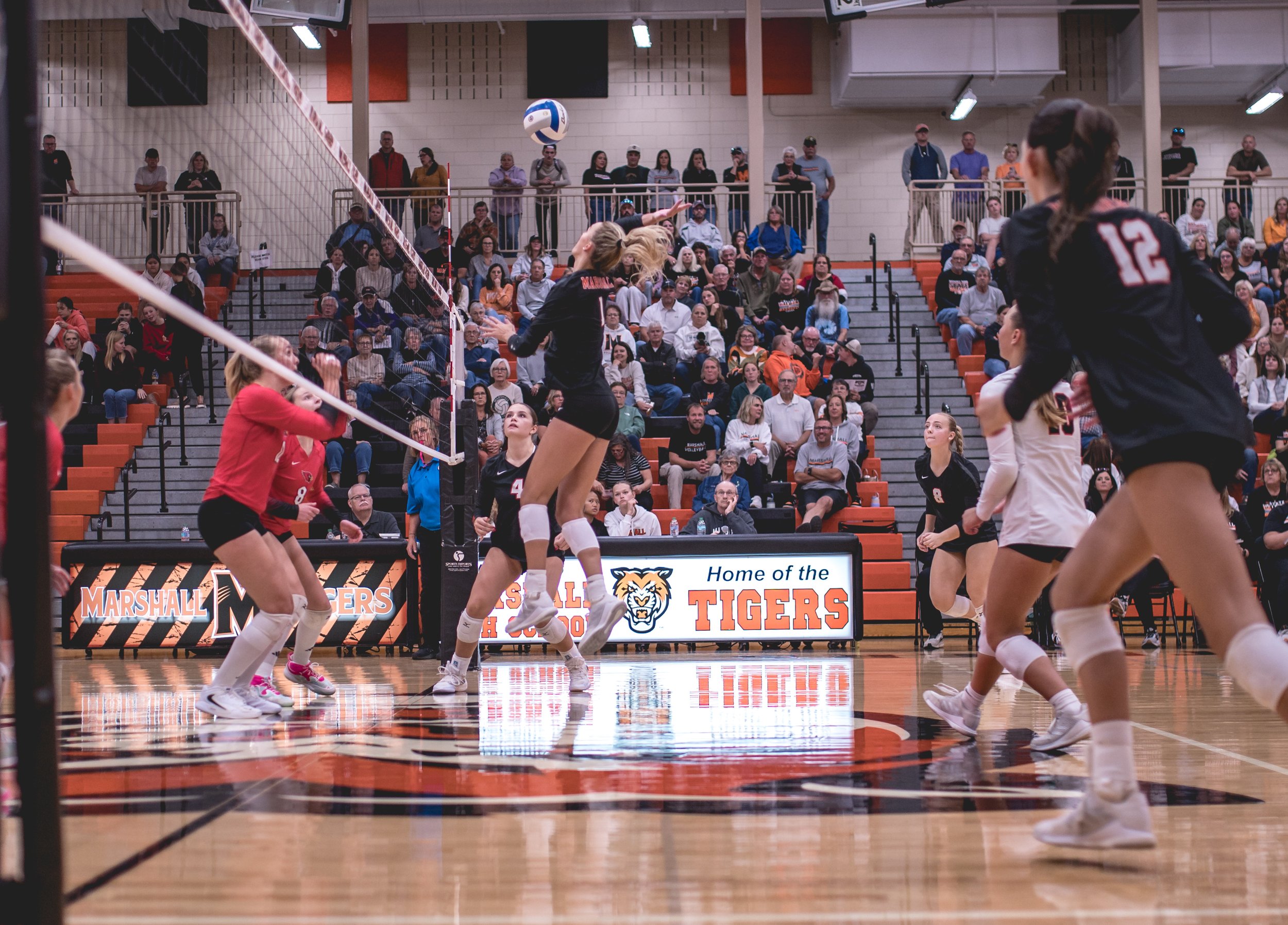 Tigers vs Alex (205).JPG