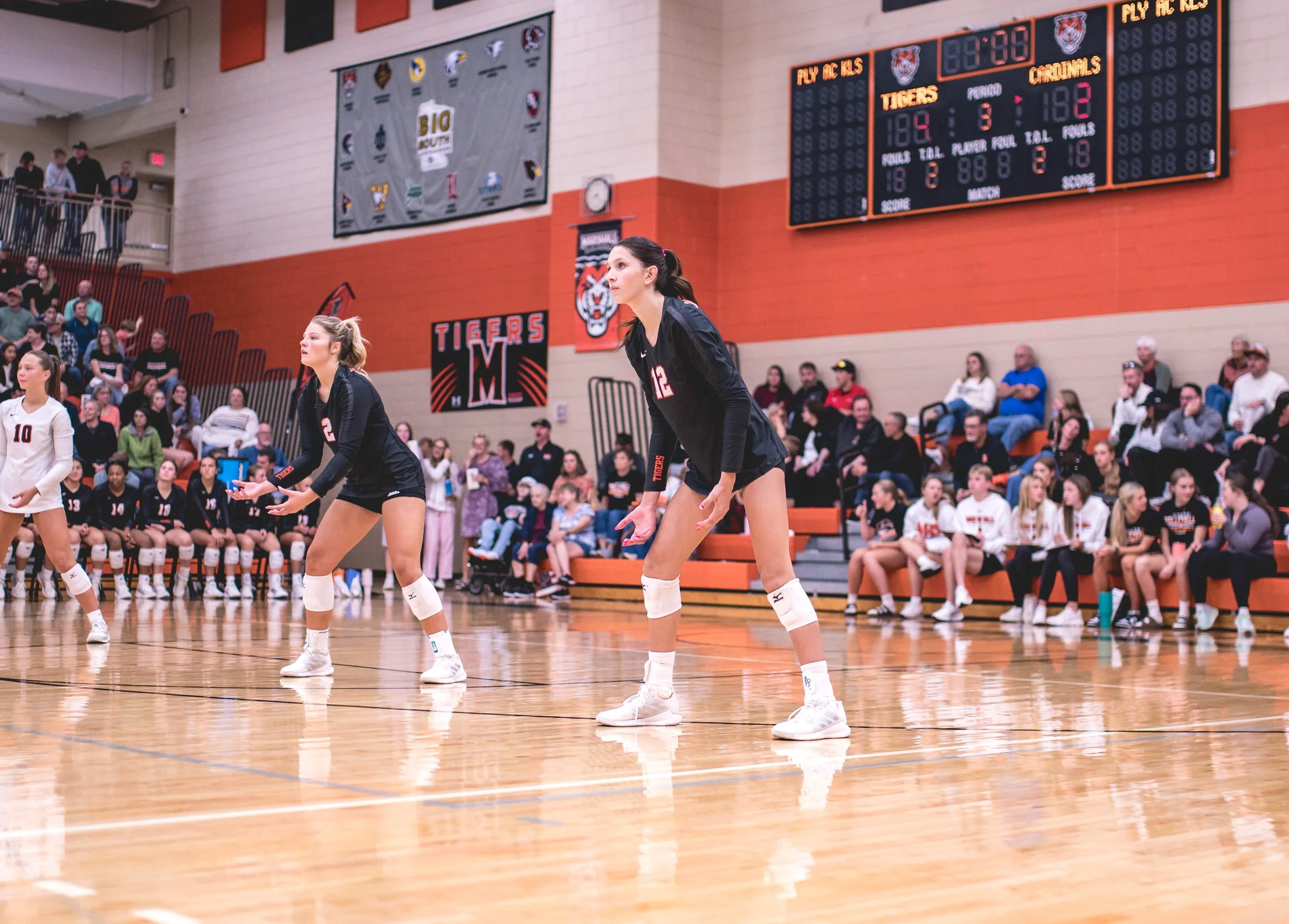 Tigers vs Alex (210).JPG