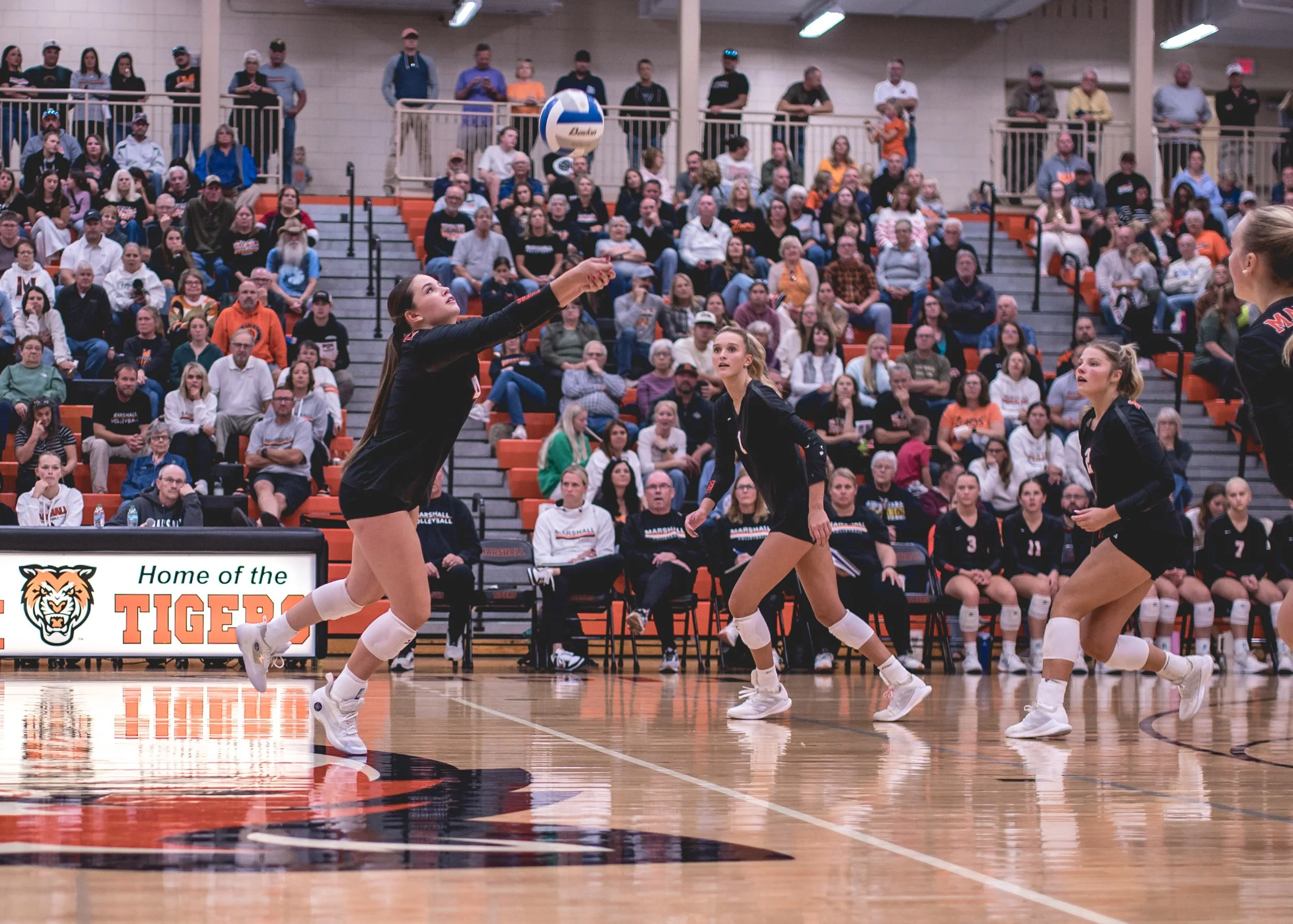 Tigers vs Alex (212).JPG