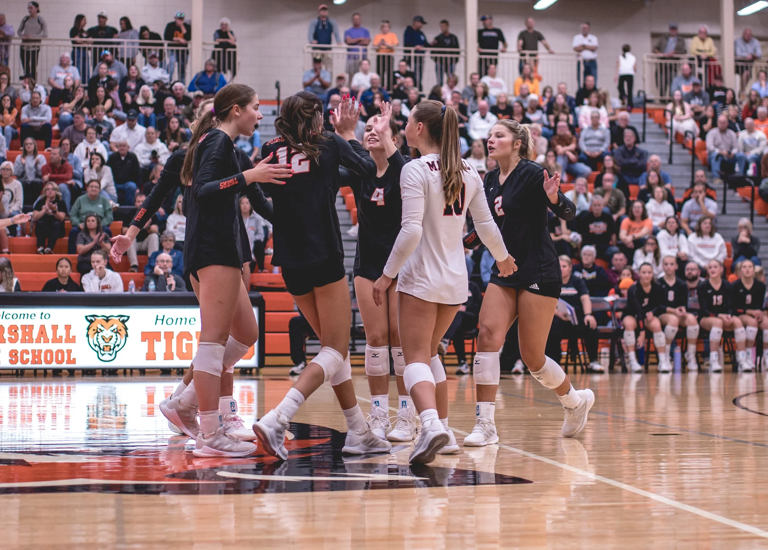 Tigers vs Alex (217).JPG