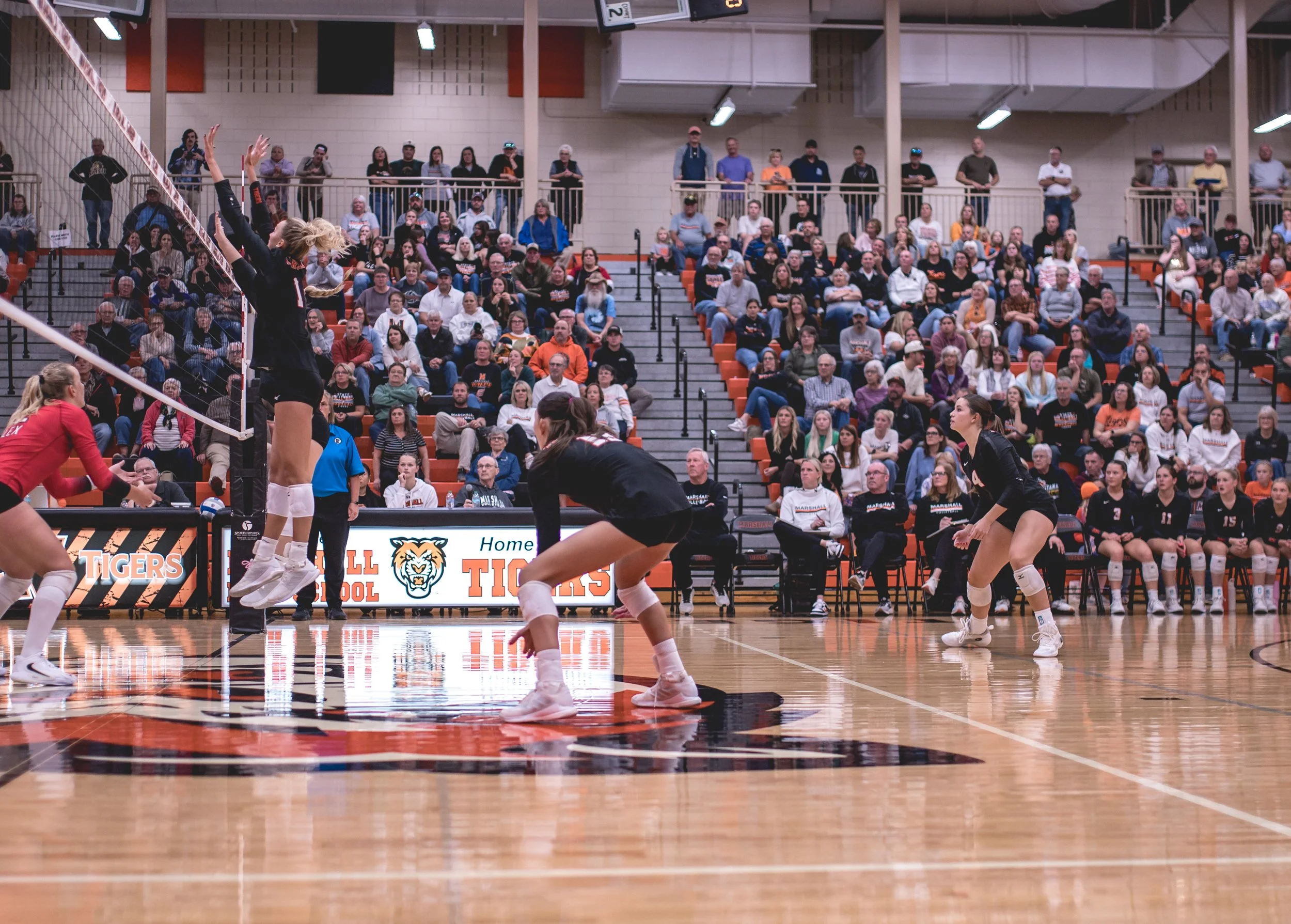 Tigers vs Alex (230).JPG