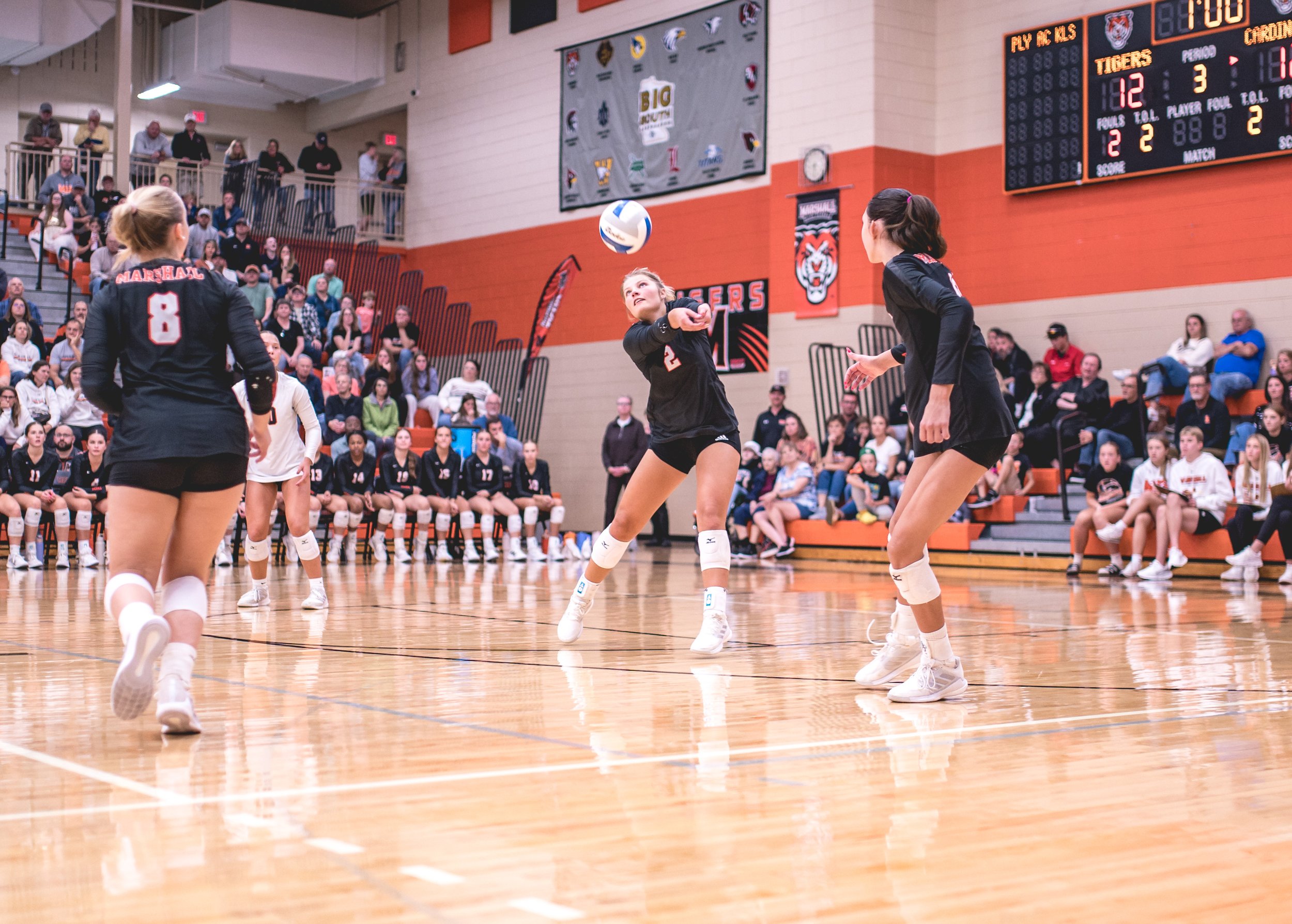 Tigers vs Alex (231).JPG