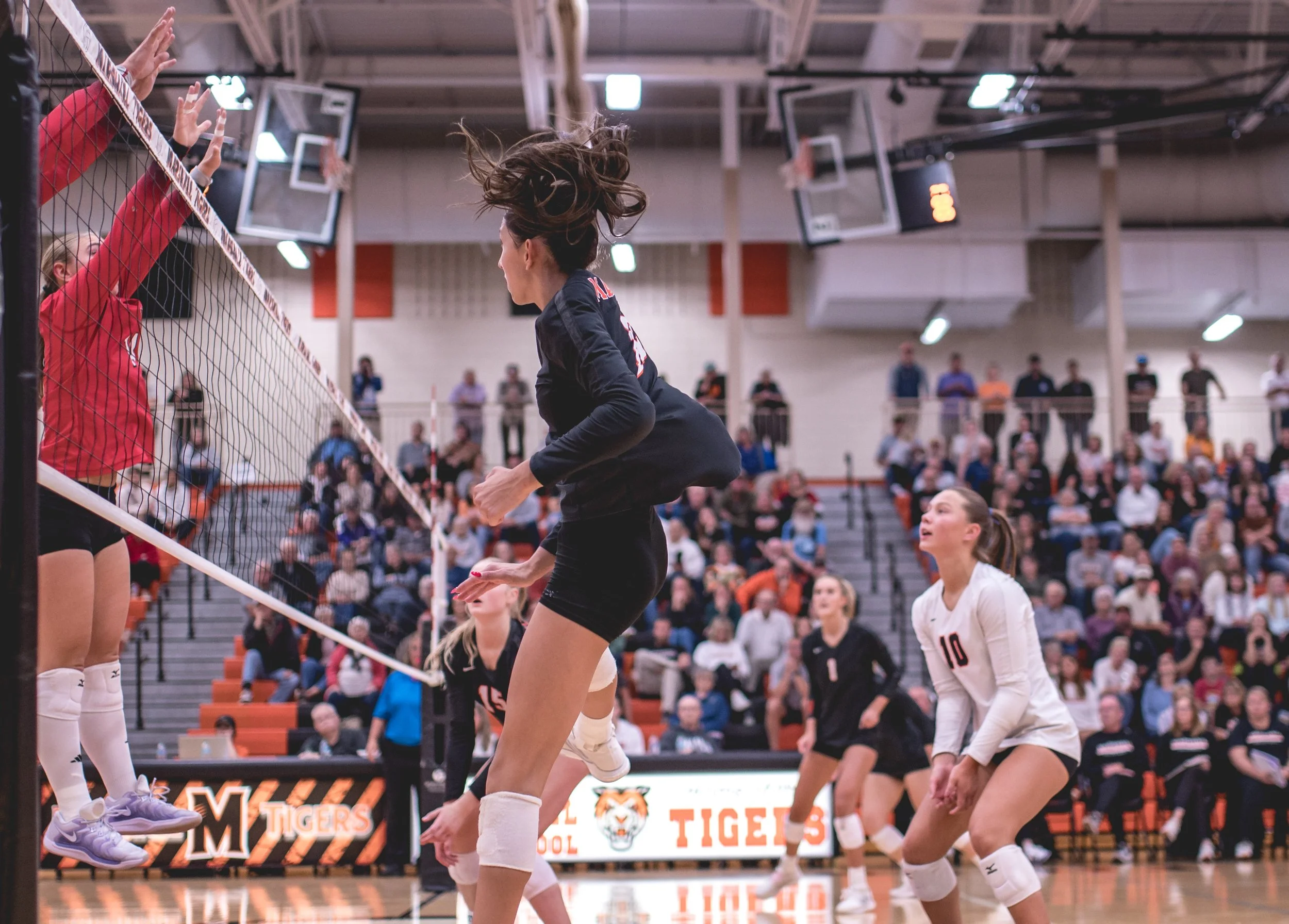 Tigers vs Alex (234).JPG