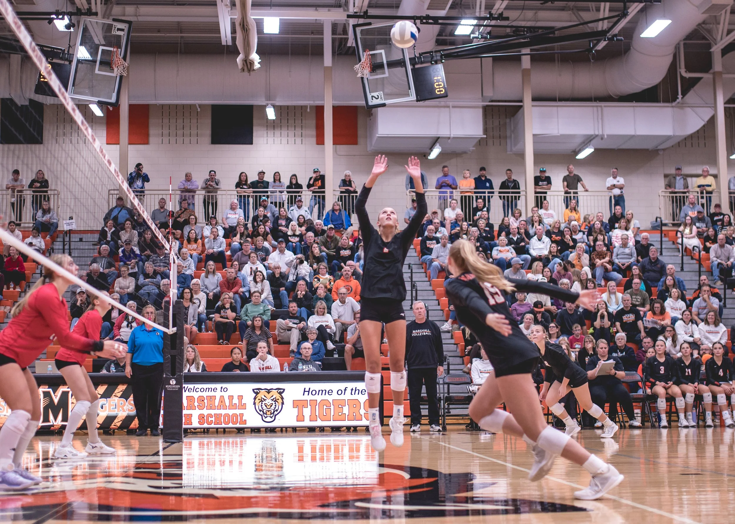 Tigers vs Alex (237).JPG