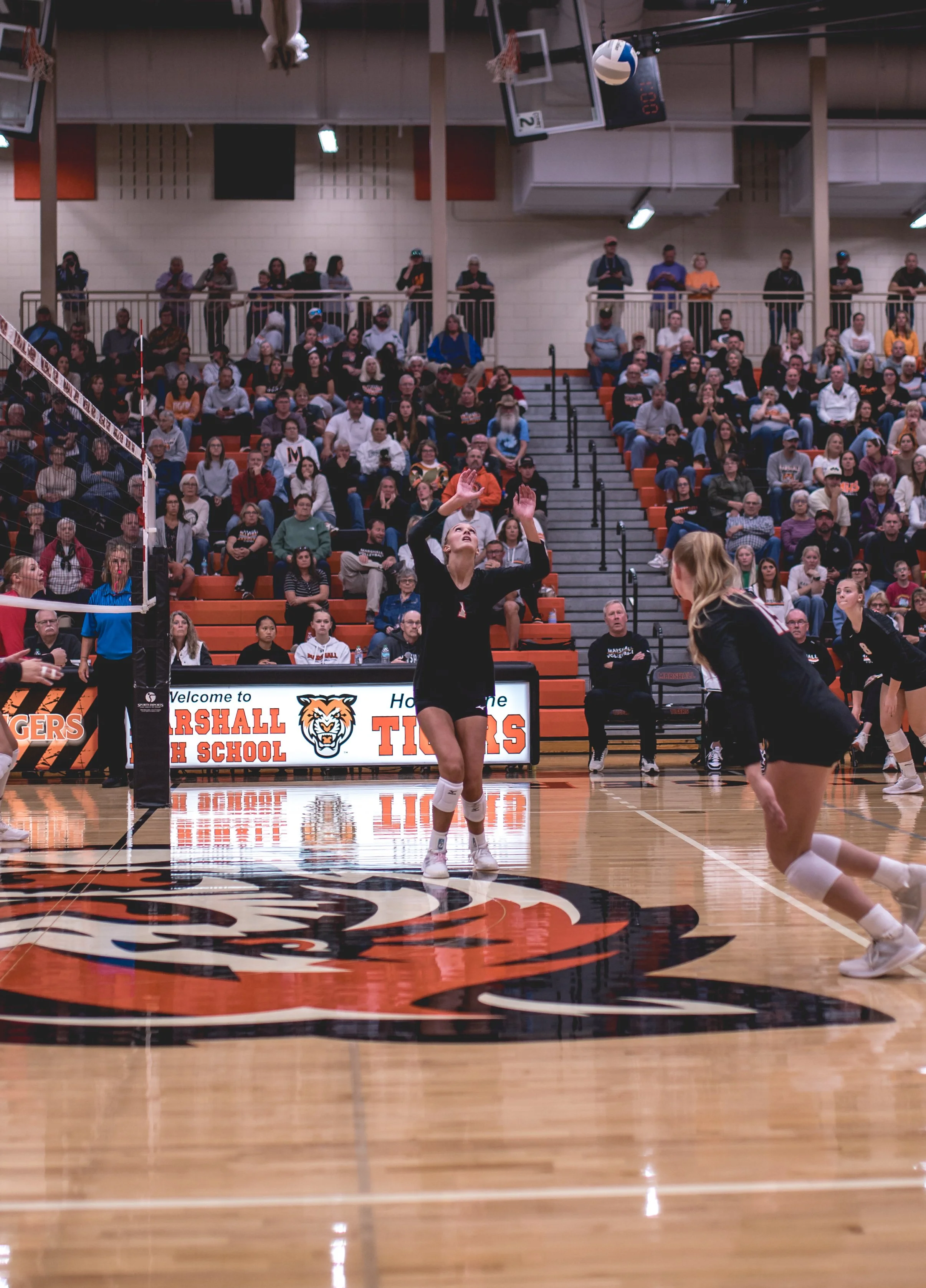 Tigers vs Alex (241).JPG