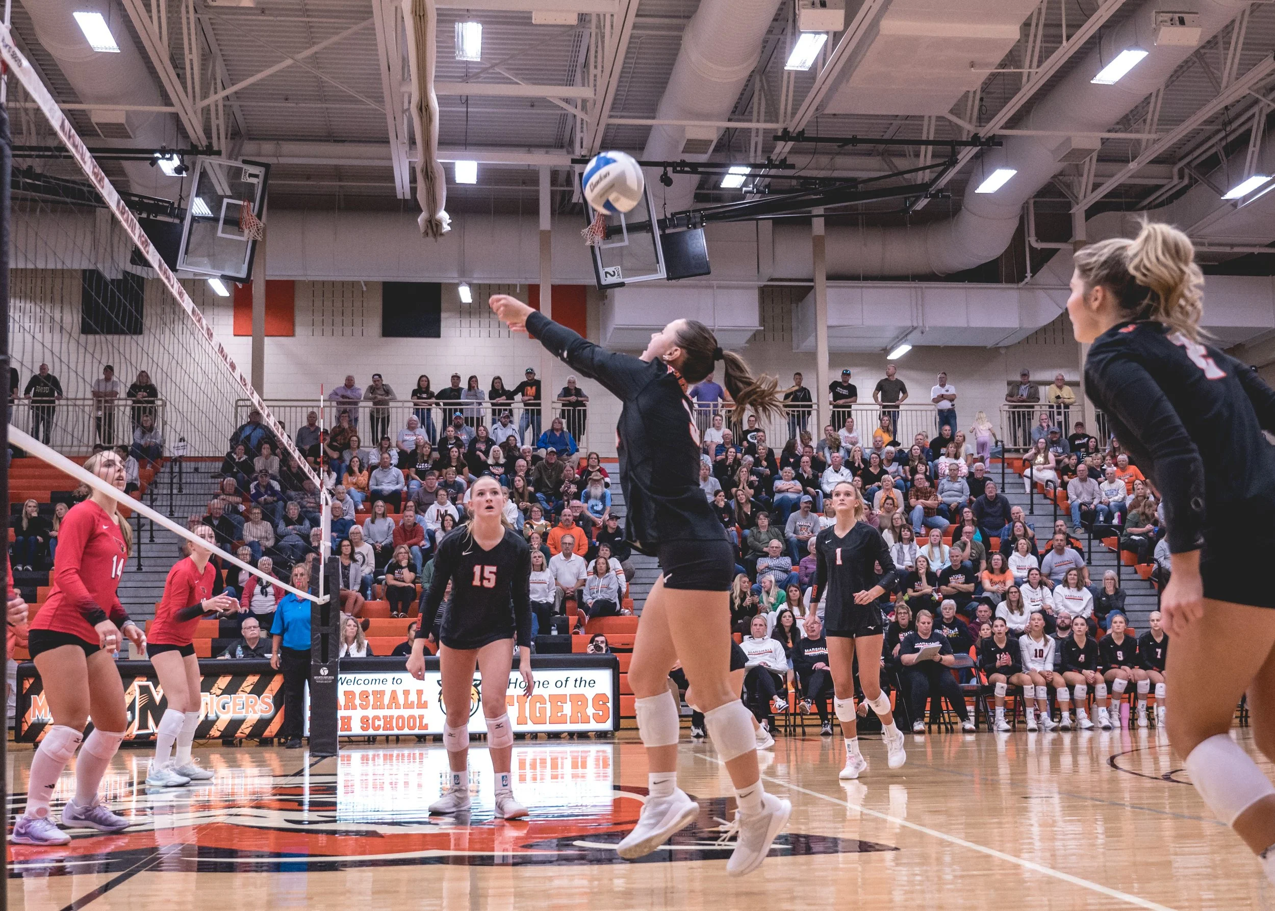 Tigers vs Alex (243).JPG