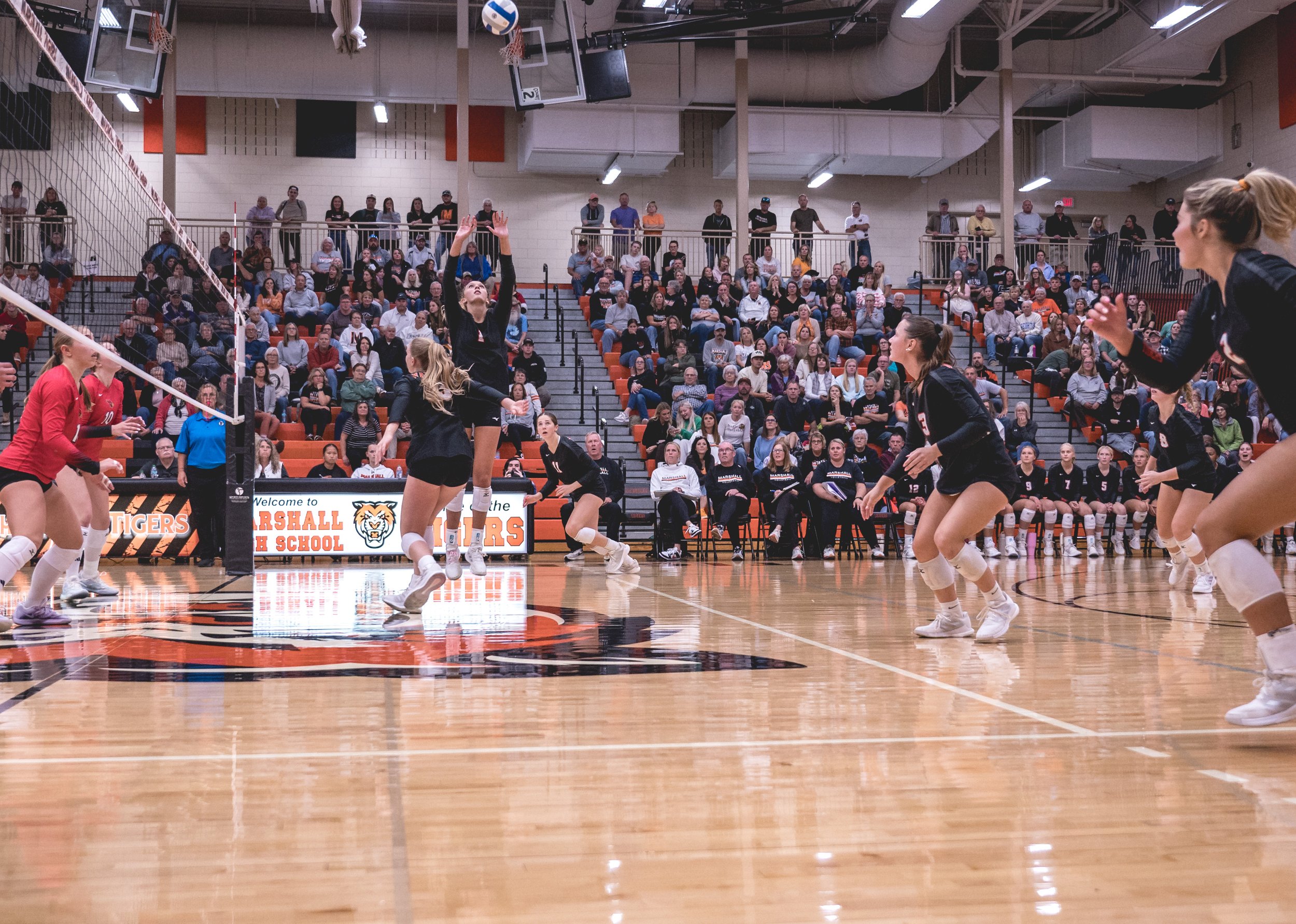 Tigers vs Alex (246).JPG