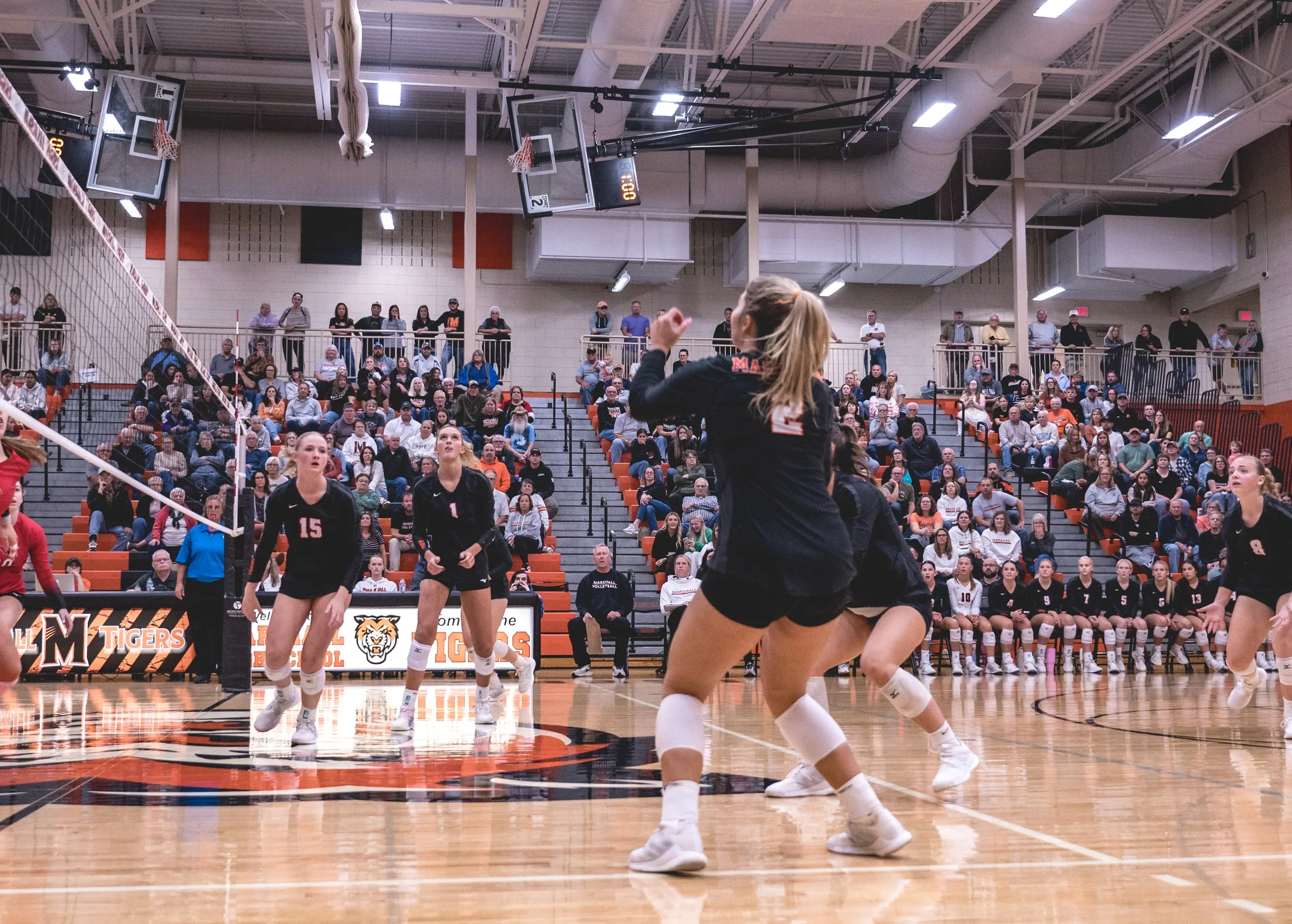 Tigers vs Alex (247).JPG