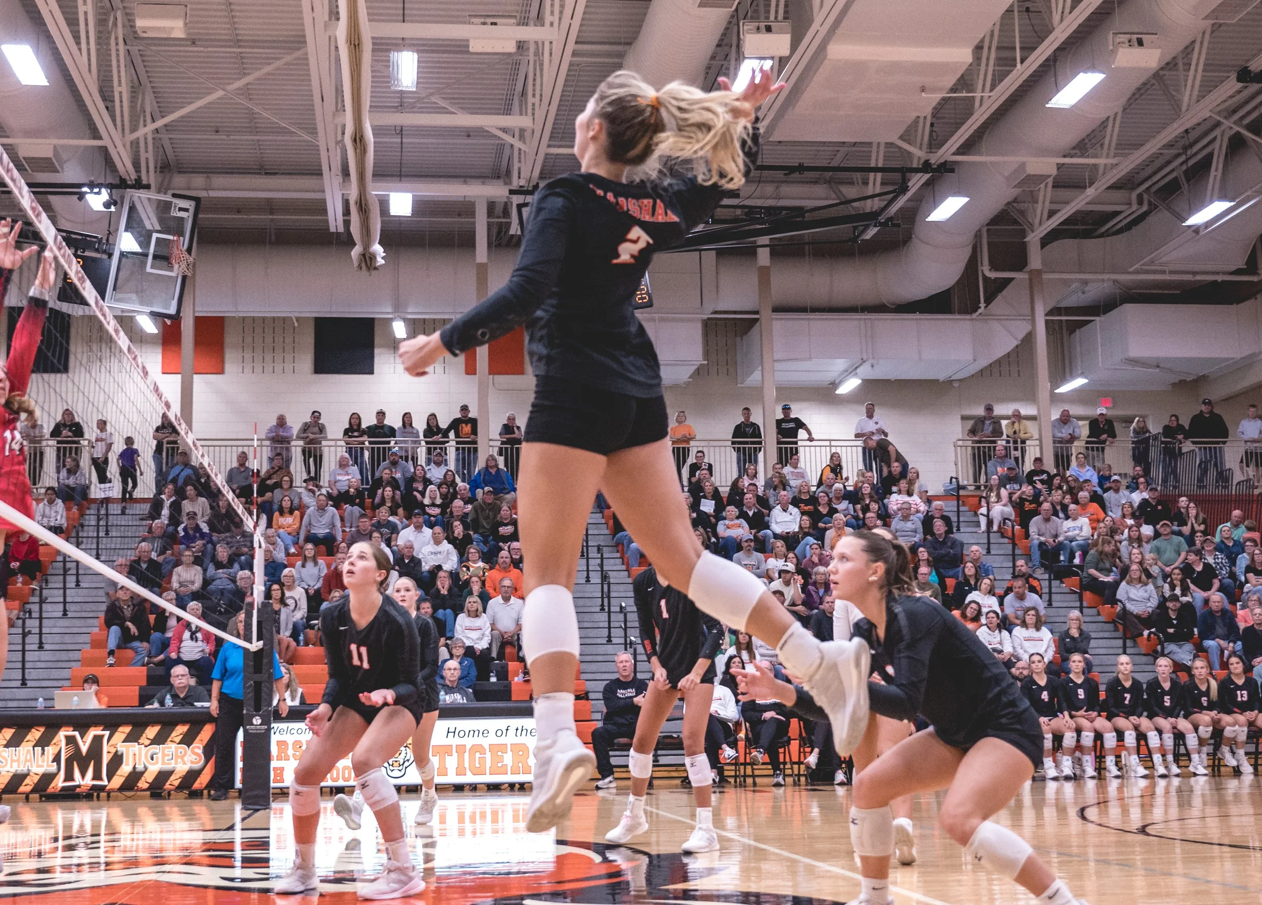 Tigers vs Alex (254).JPG