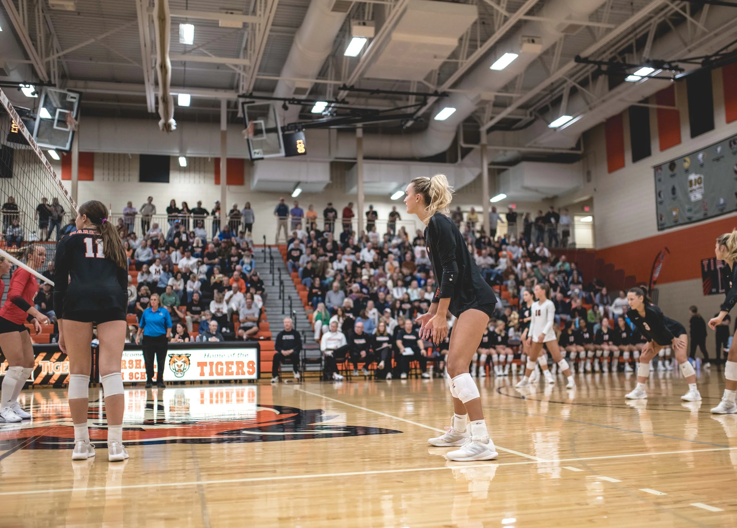 Tigers vs Alex (607).JPG