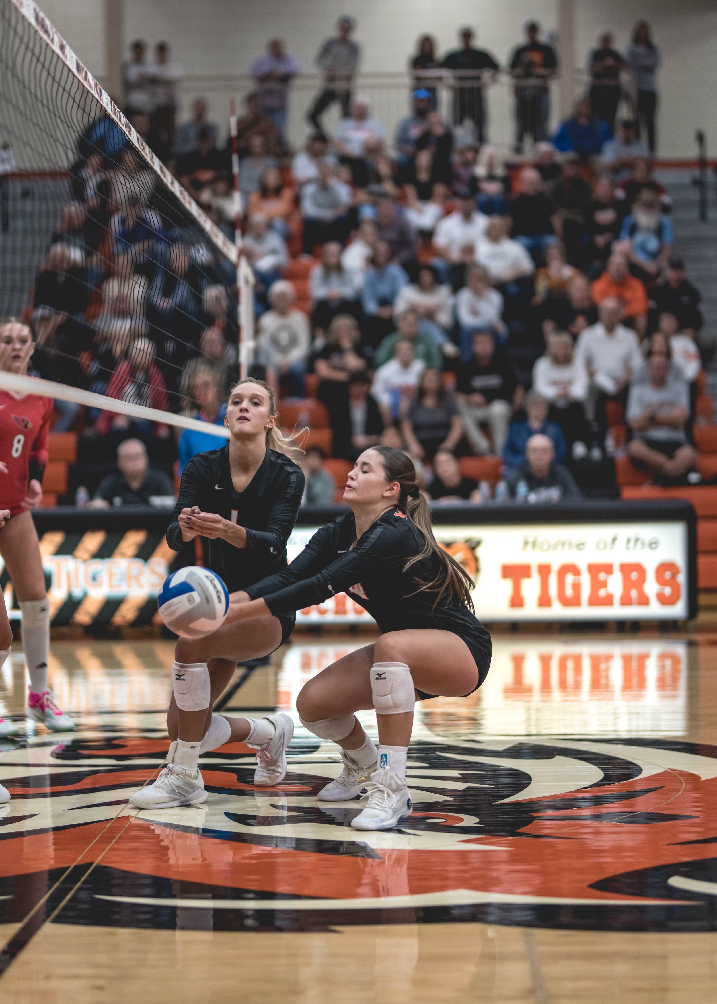 Tigers vs Alex (622).JPG