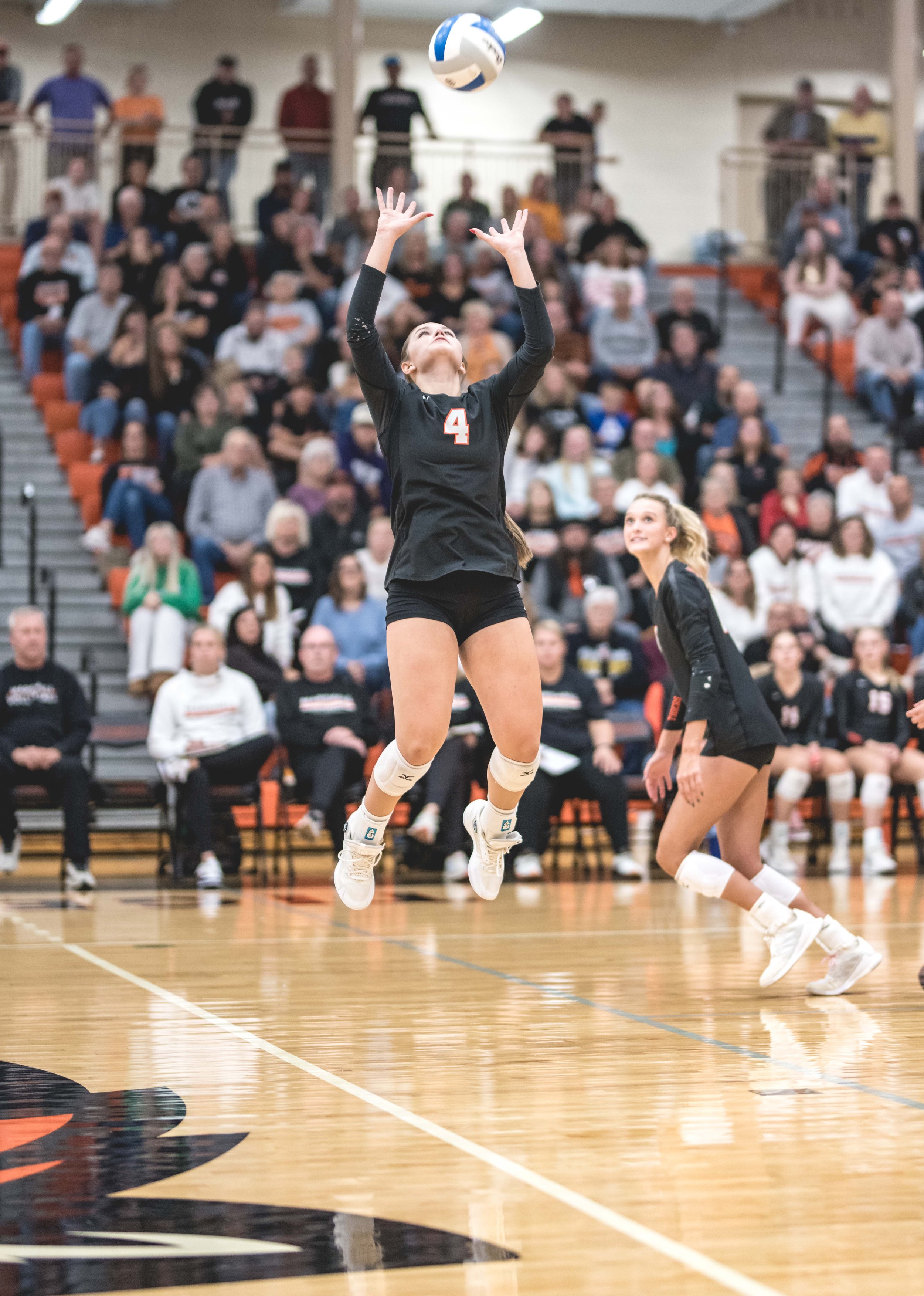 Tigers vs Alex (625).JPG