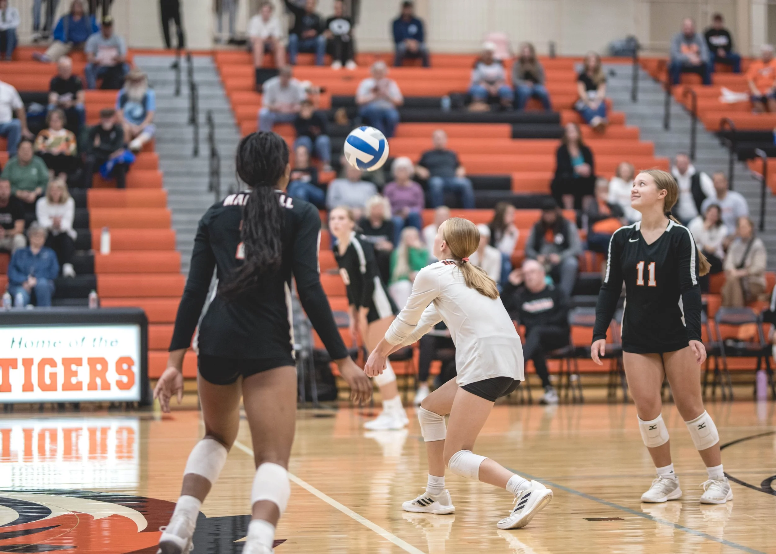 Tigers vs Alex (416).JPG