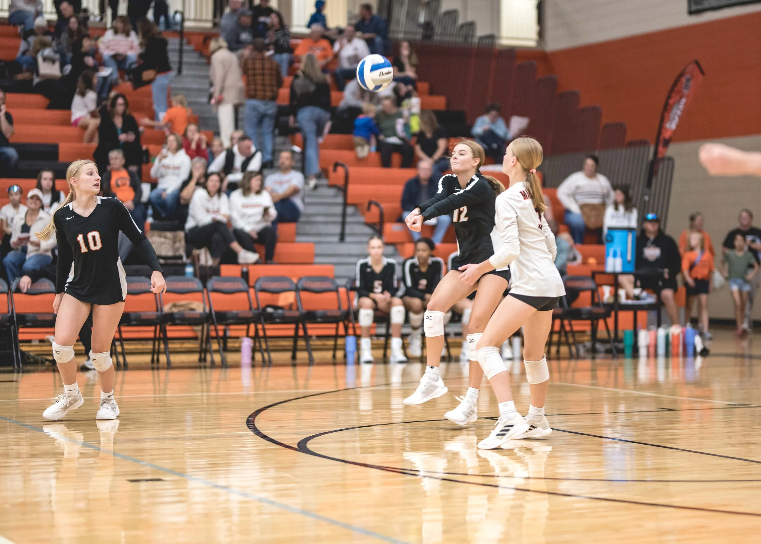 Tigers vs Alex (448).JPG