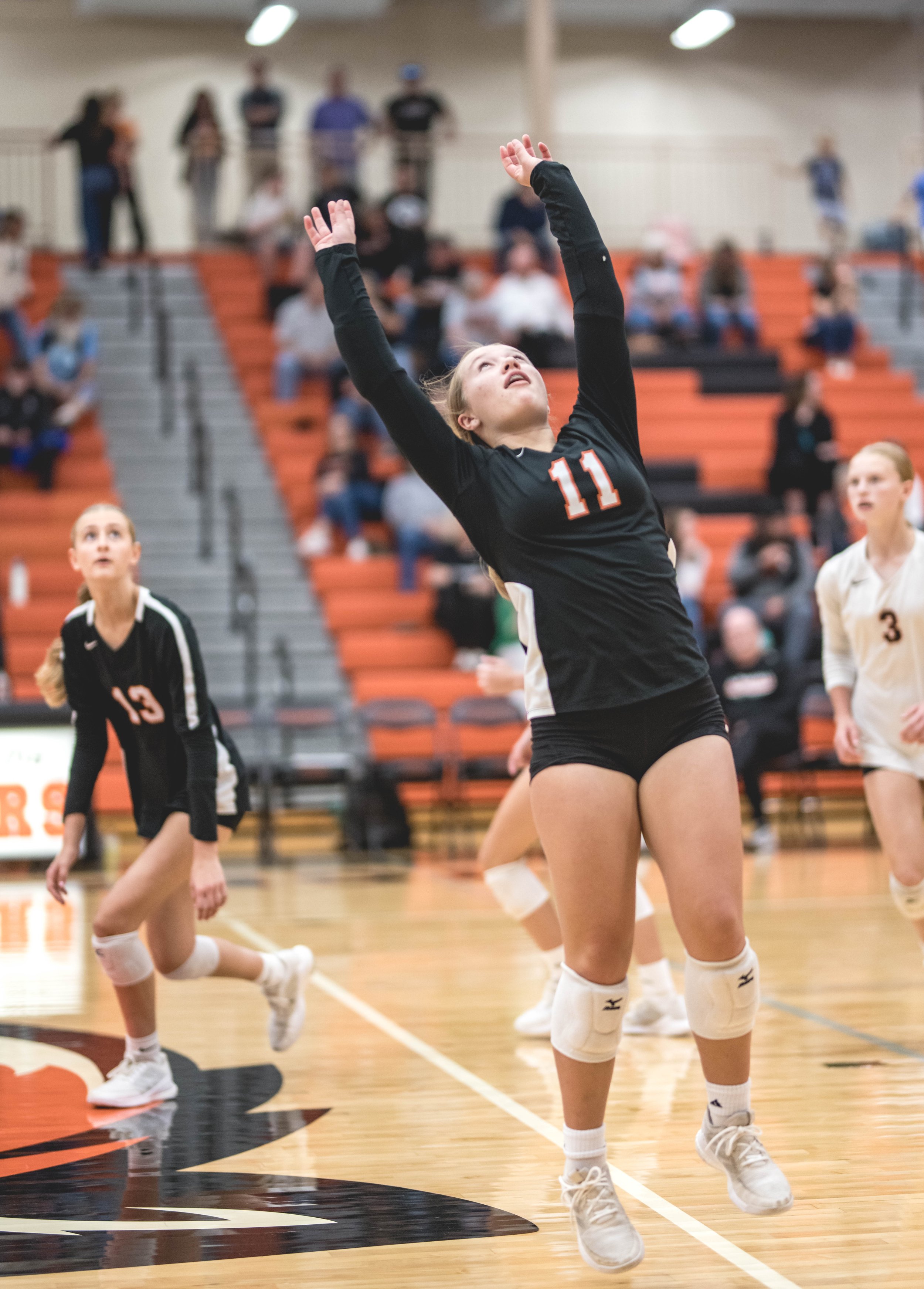 Tigers vs Alex (393).JPG