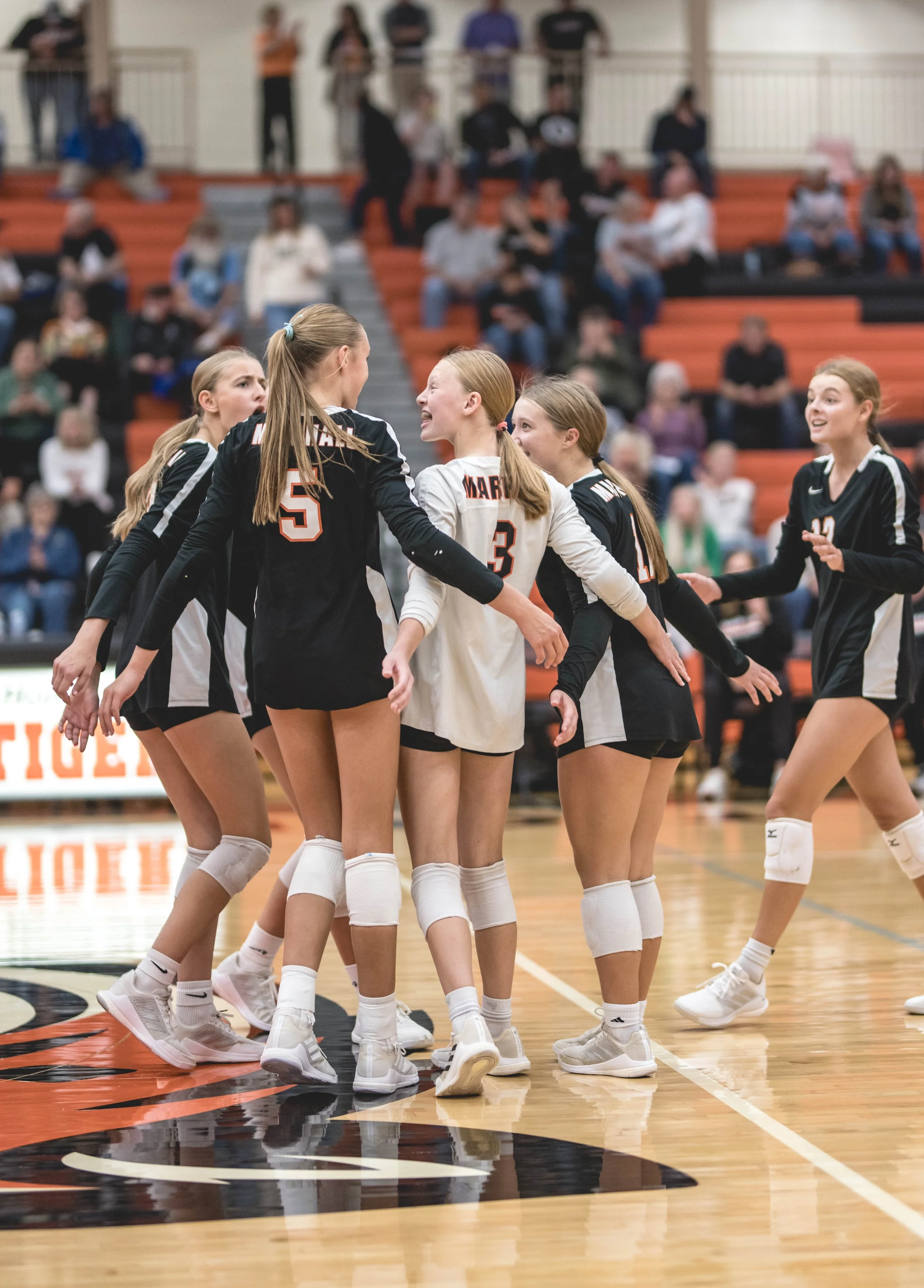 Tigers vs Alex (399).JPG