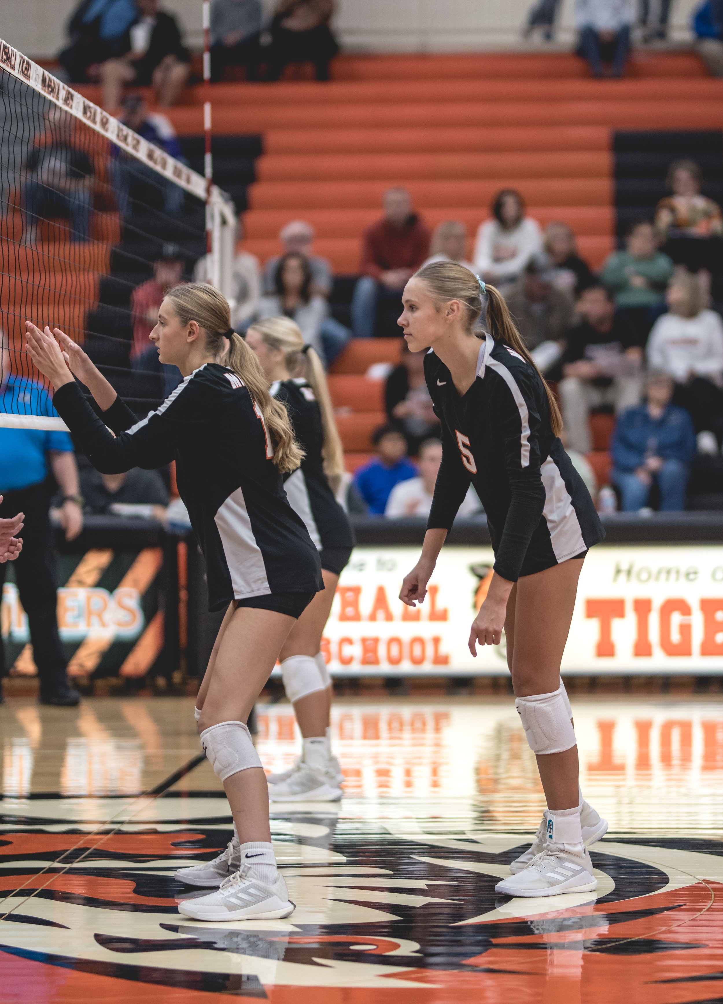 Tigers vs Alex (328).JPG