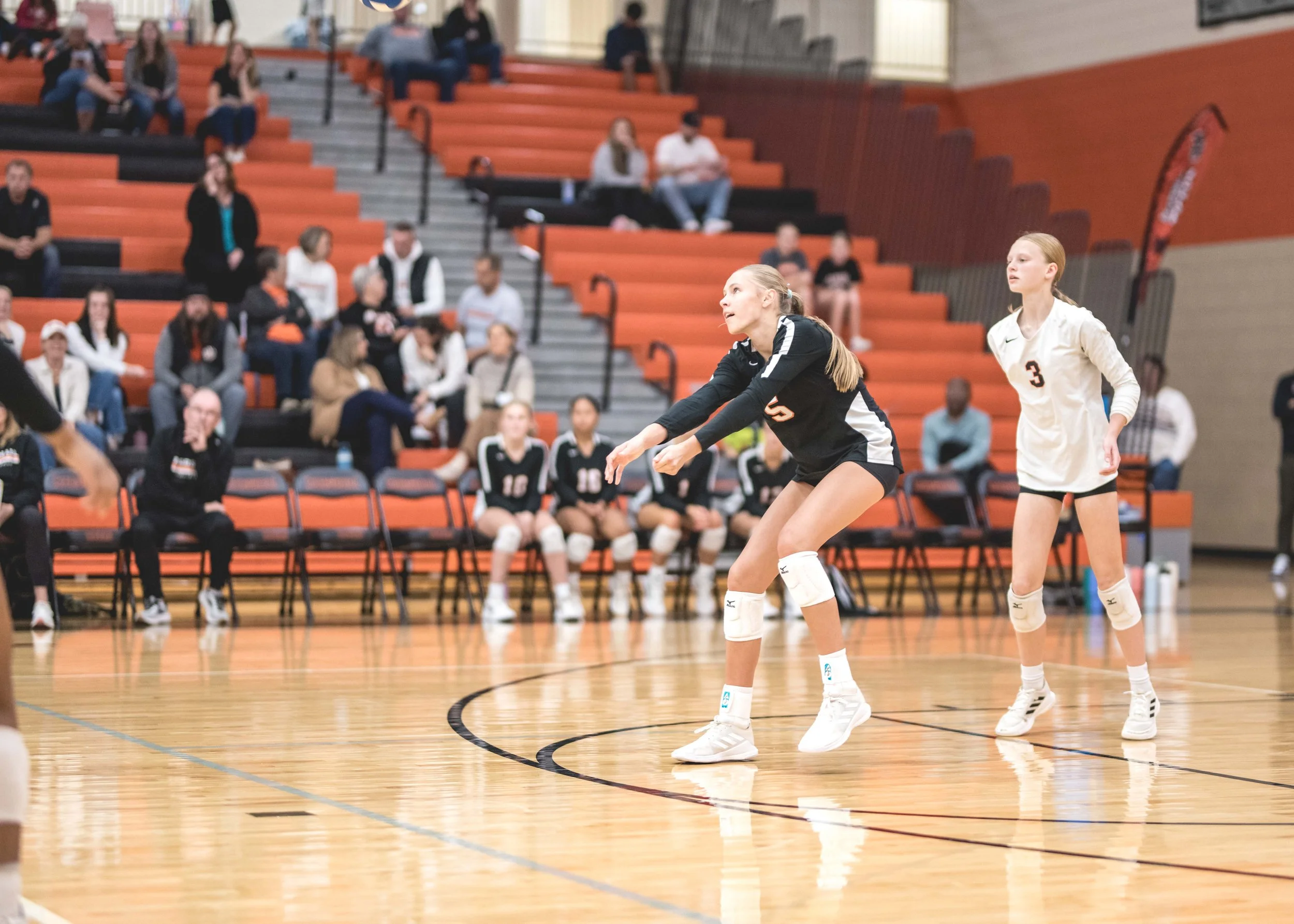 Tigers vs Alex (352).JPG