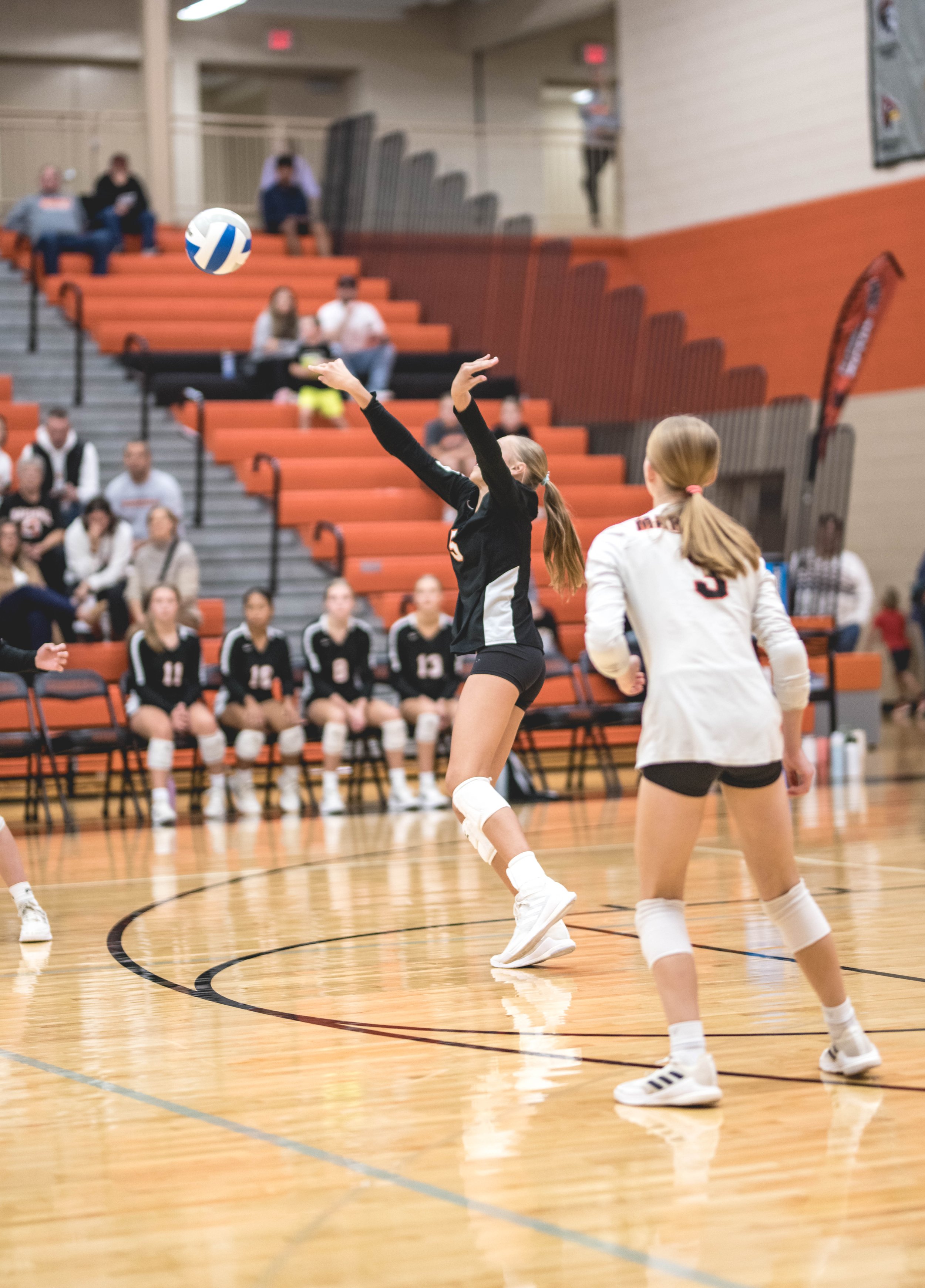 Tigers vs Alex (365).JPG