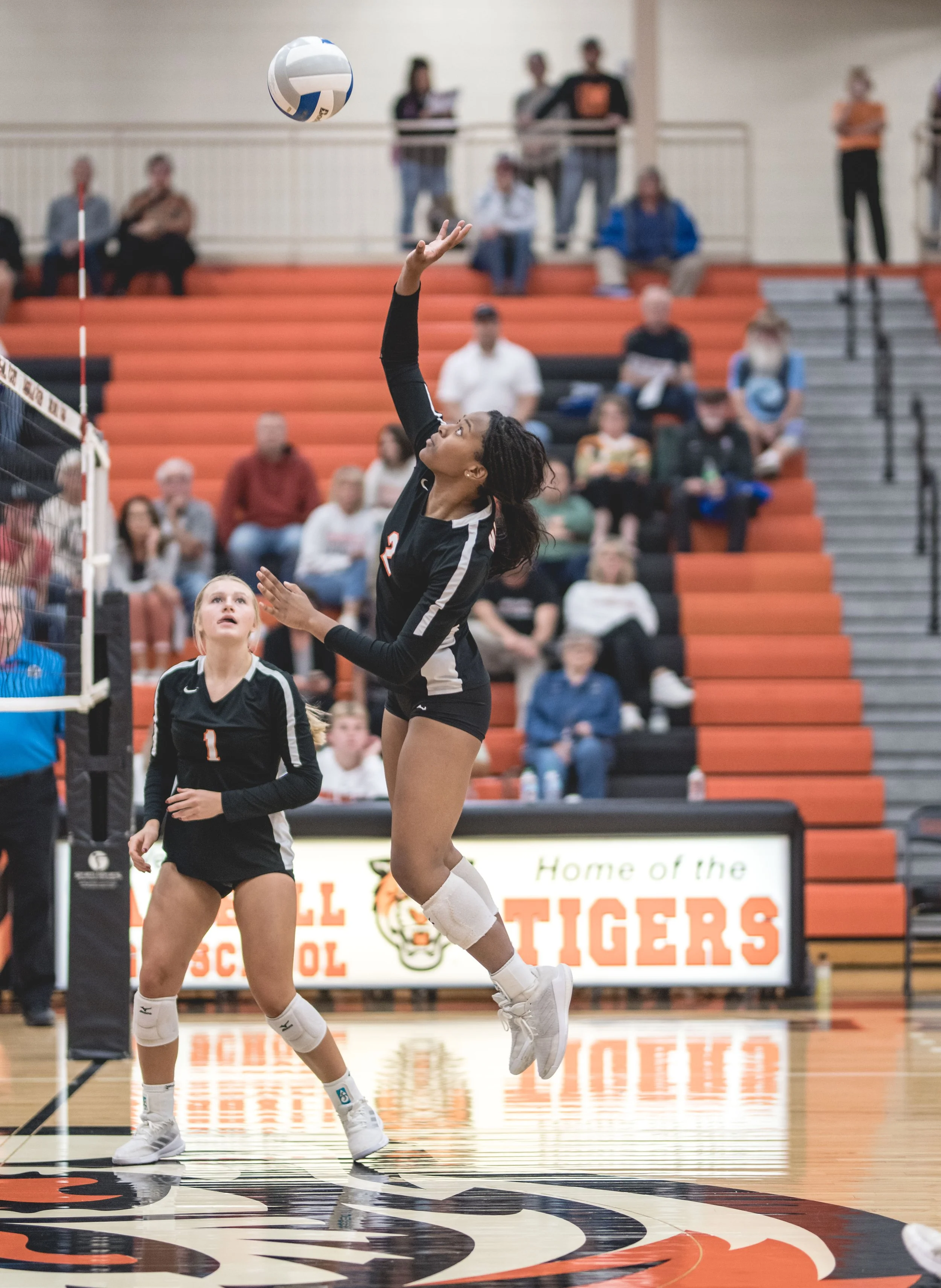 Tigers vs Alex (366).JPG