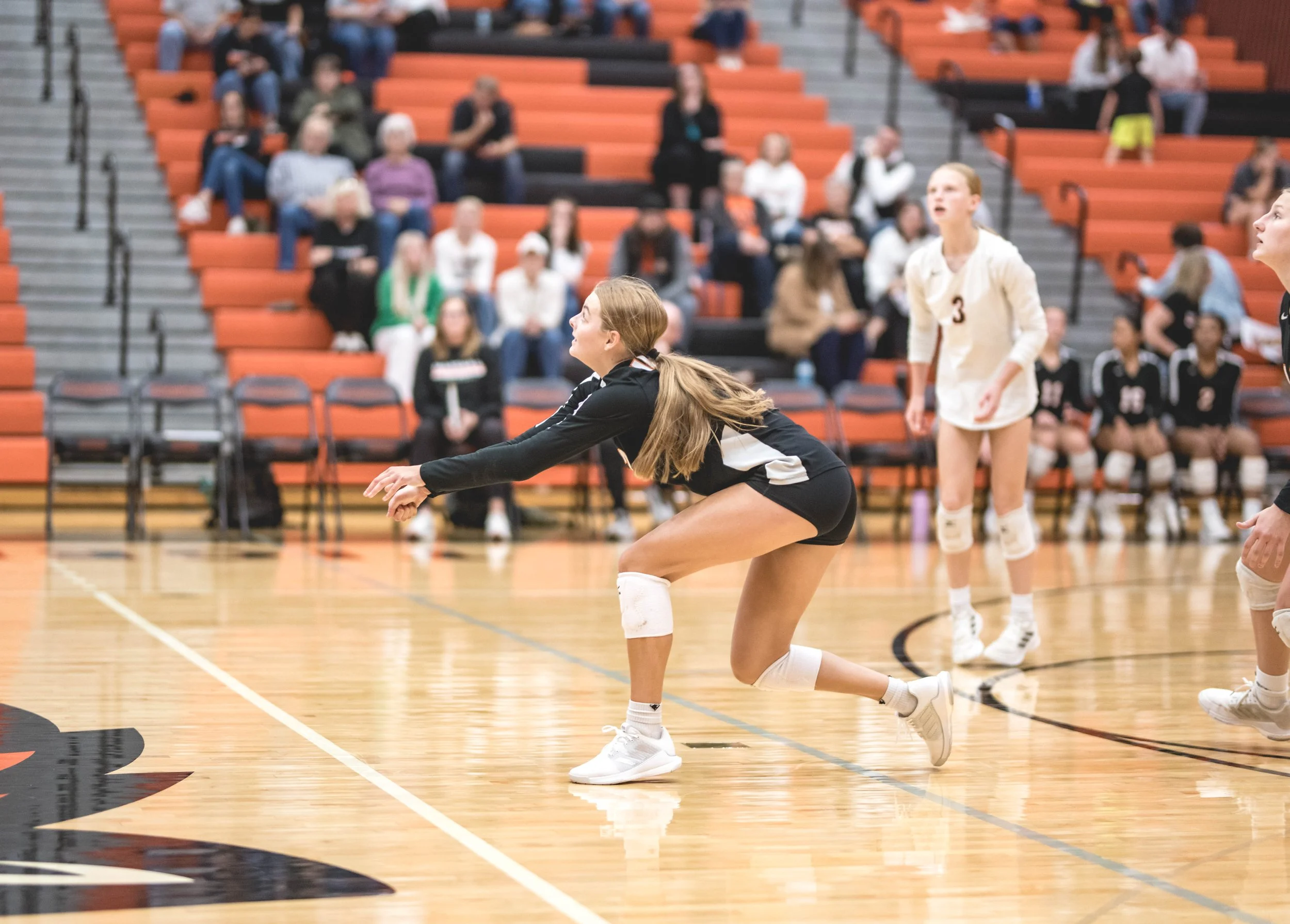 Tigers vs Alex (383).JPG