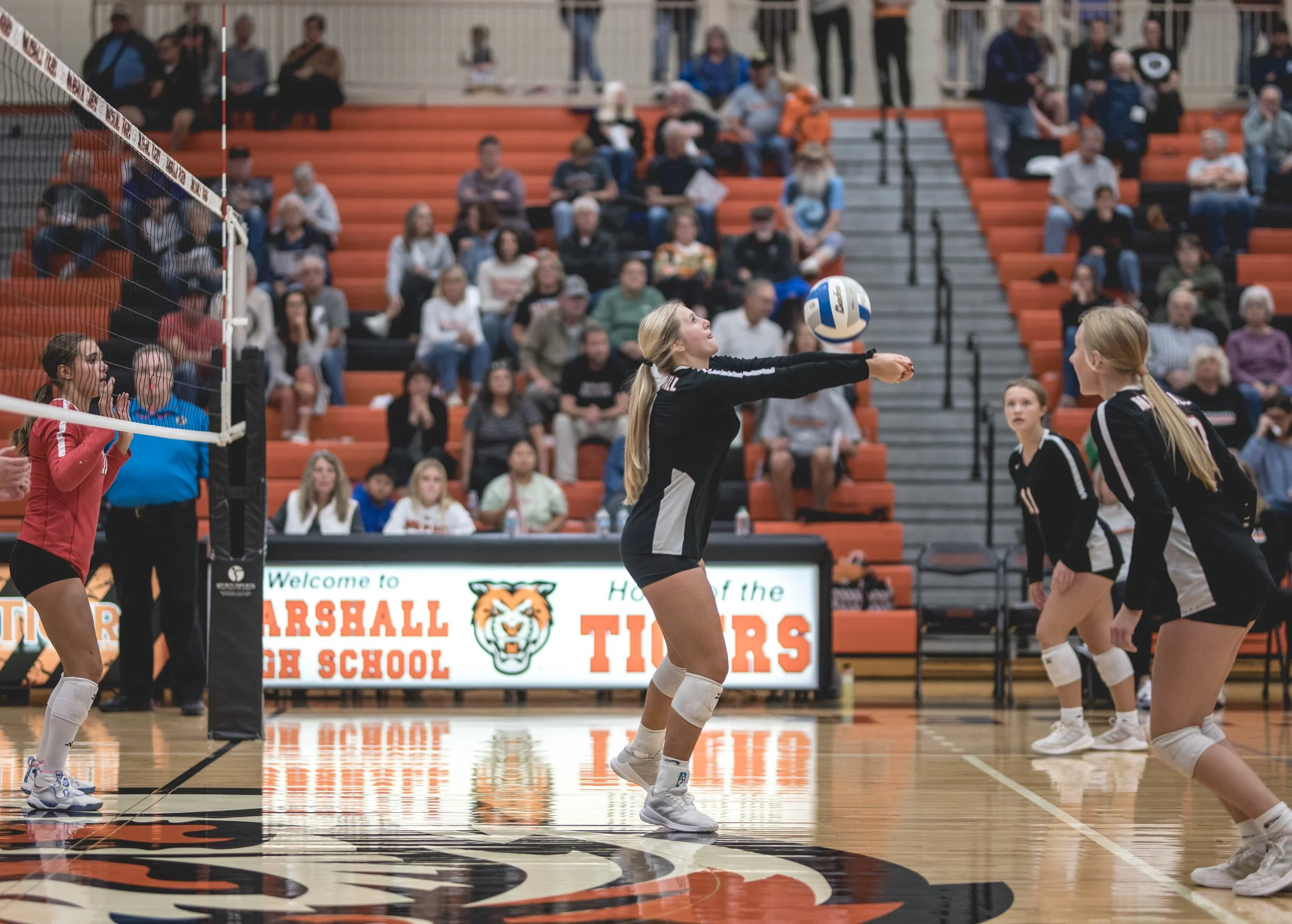 Tigers vs Alex (452).JPG